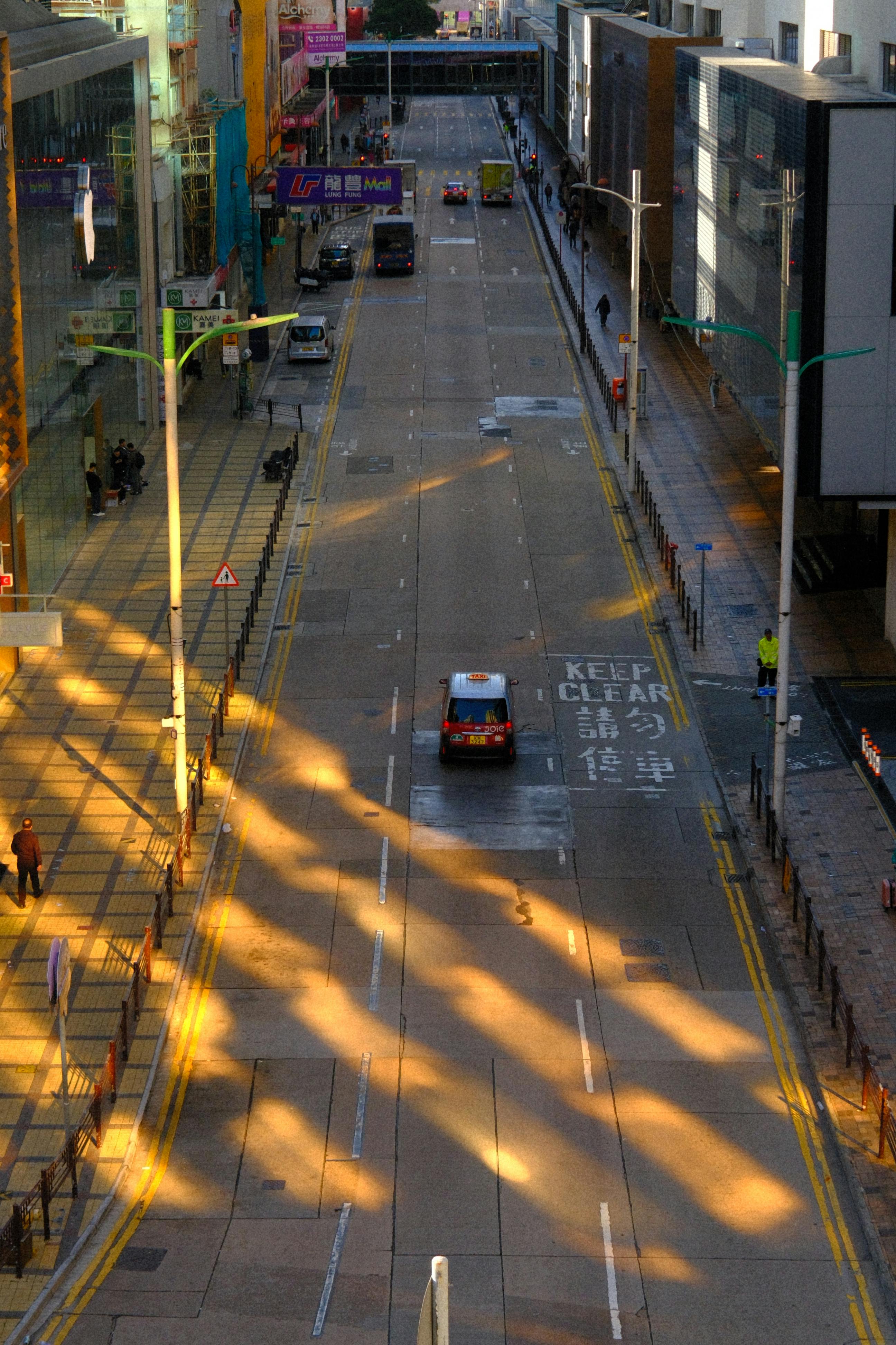 Miễn phí Ảnh lưu trữ miễn phí về ánh sáng mặt trời, bận, bão hòa Ảnh lưu trữ