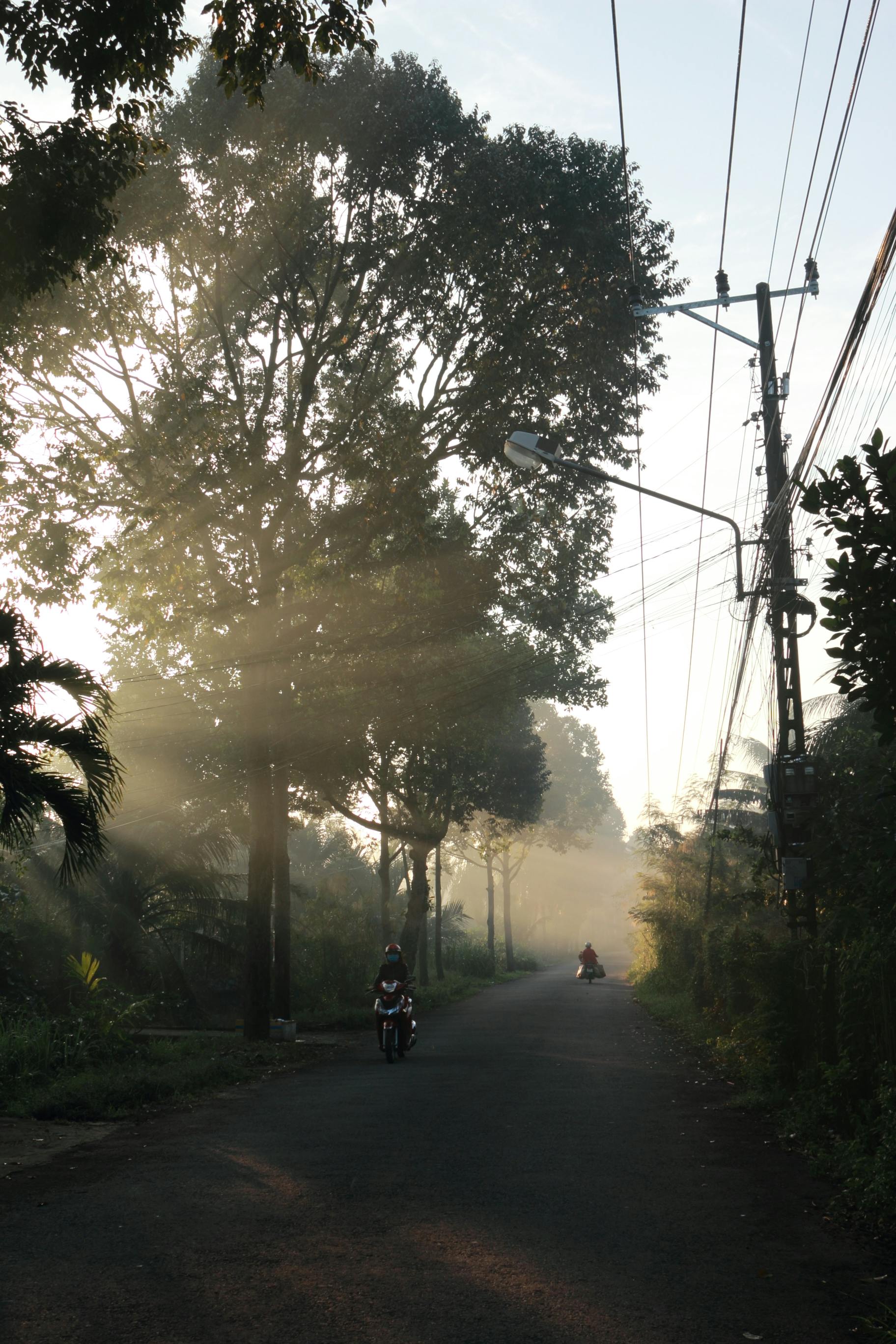 Free stock photo of bright sunlight, hamlet path, morninglight Stock Photo