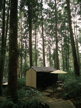 A serene cabin surrounded by lush greenery in Central Java's dense forest.