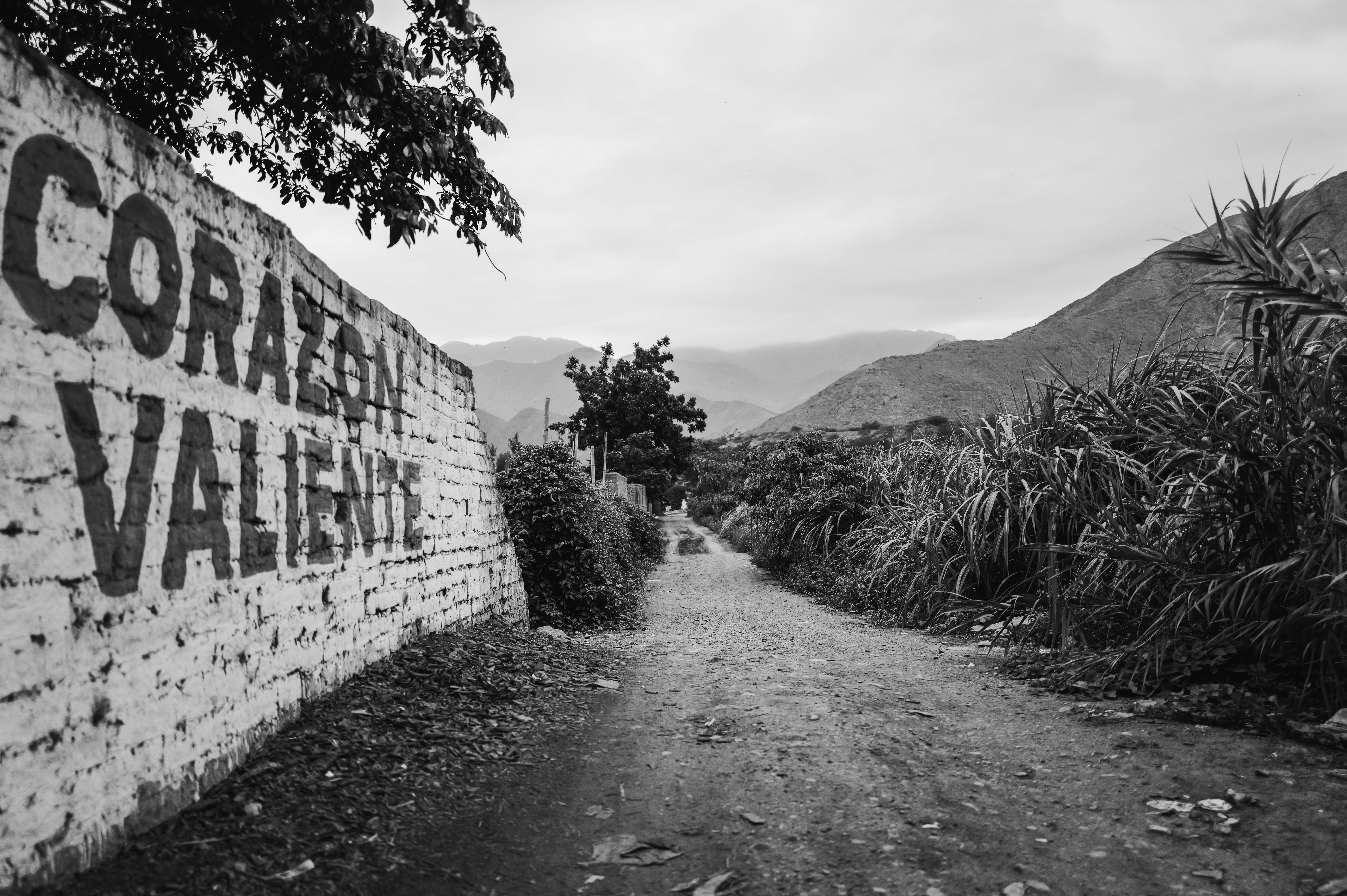 Zadarmo Čiernobiela fotografia vidieckej cesty v Simbale, La Libertad, Perú, s graffiti „Corazon Valiente“ na stene. Fotka z fotobanky