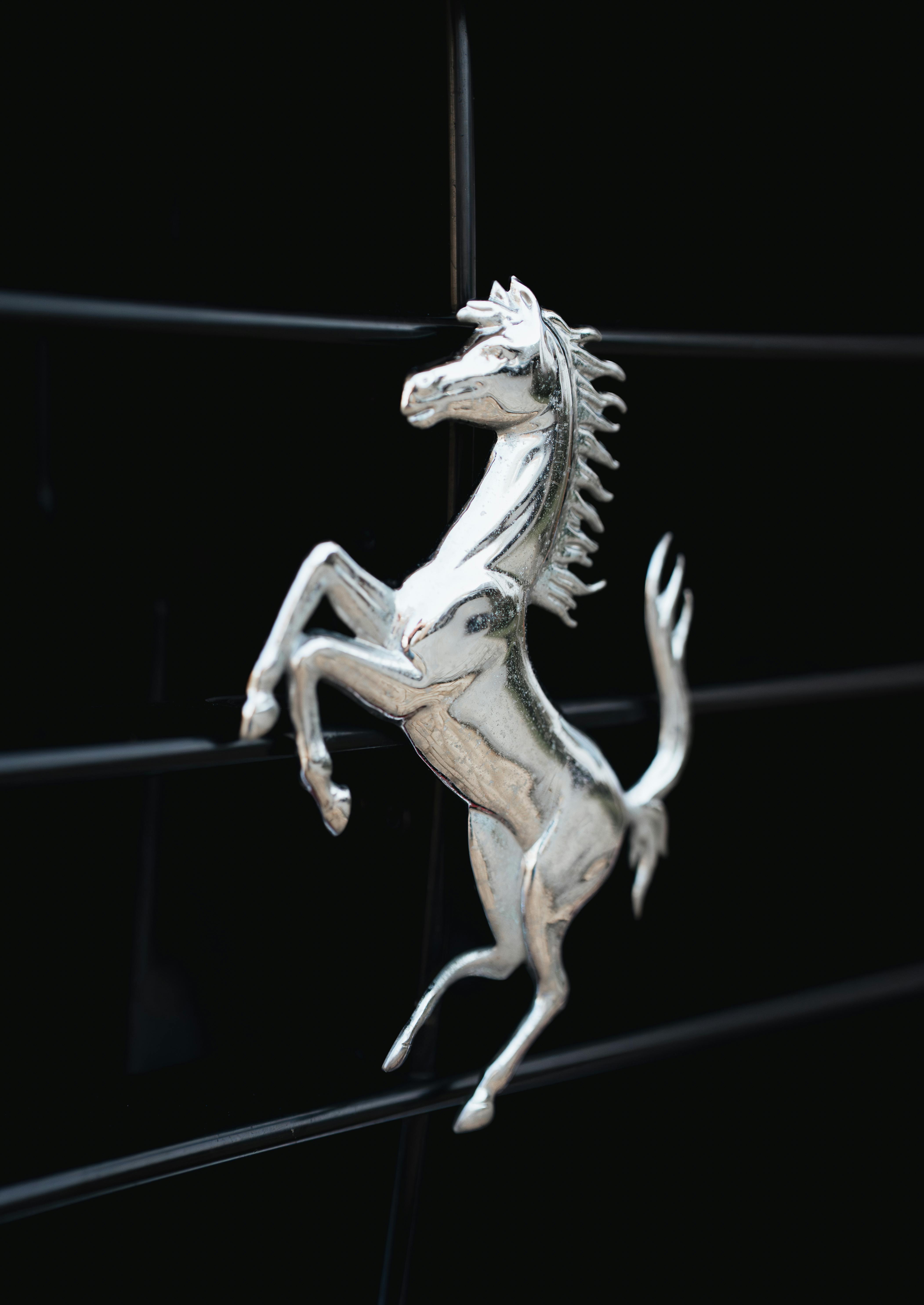 bezplatná Detailní pohled na emblém stříbrného vzpínajícího se koně na luxusním autě v Anglii ve Velké Británii. Základová fotografie