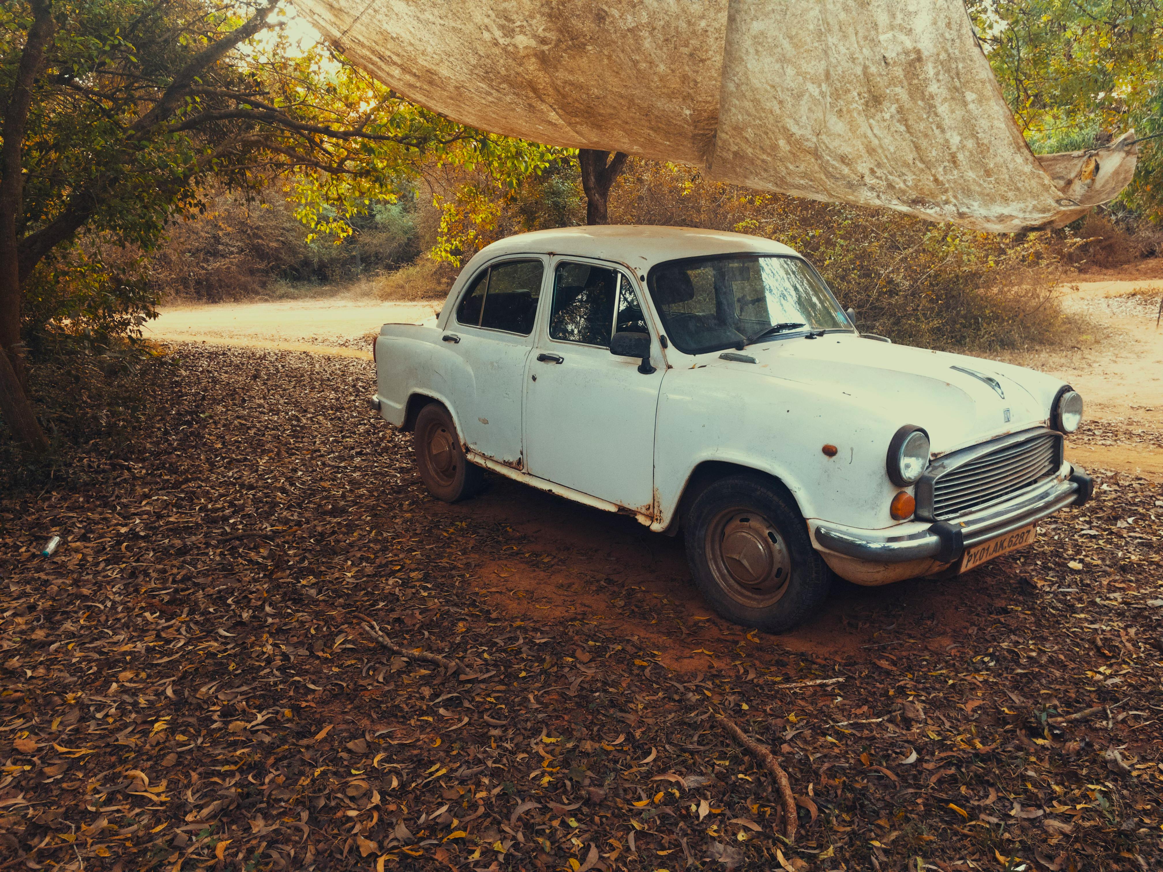 Bring Your Own Commercial Permit and Auto Insurance in California — Photo by Praveen Isaac Asir on Pexels