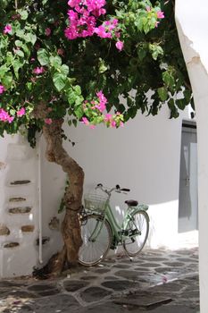 Image by Laura Arnedo