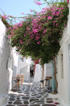 Image by Laura Arnedo