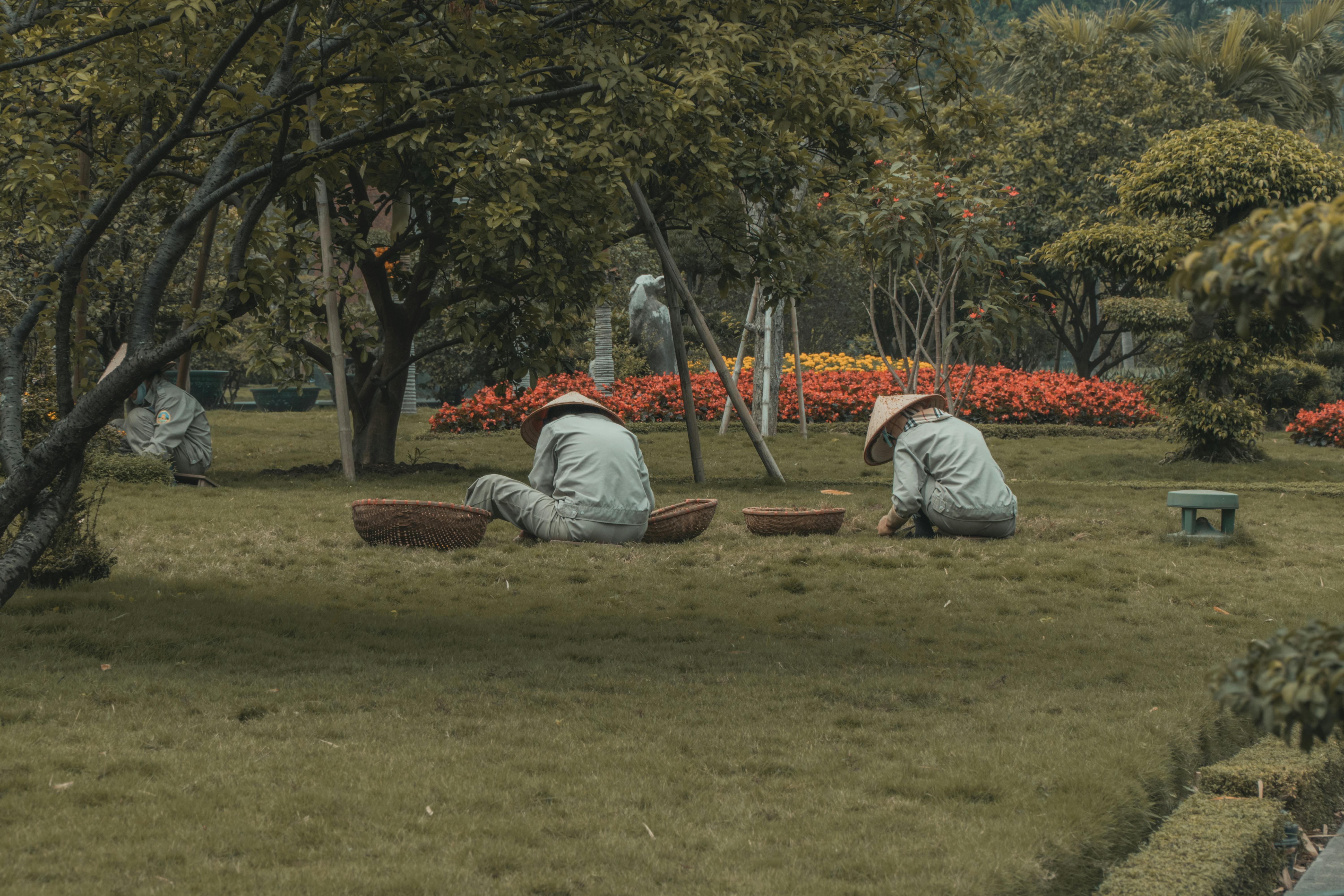 bezplatná Zahradníci v kloboucích pečují o park s pestrými rostlinami. Základová fotografie