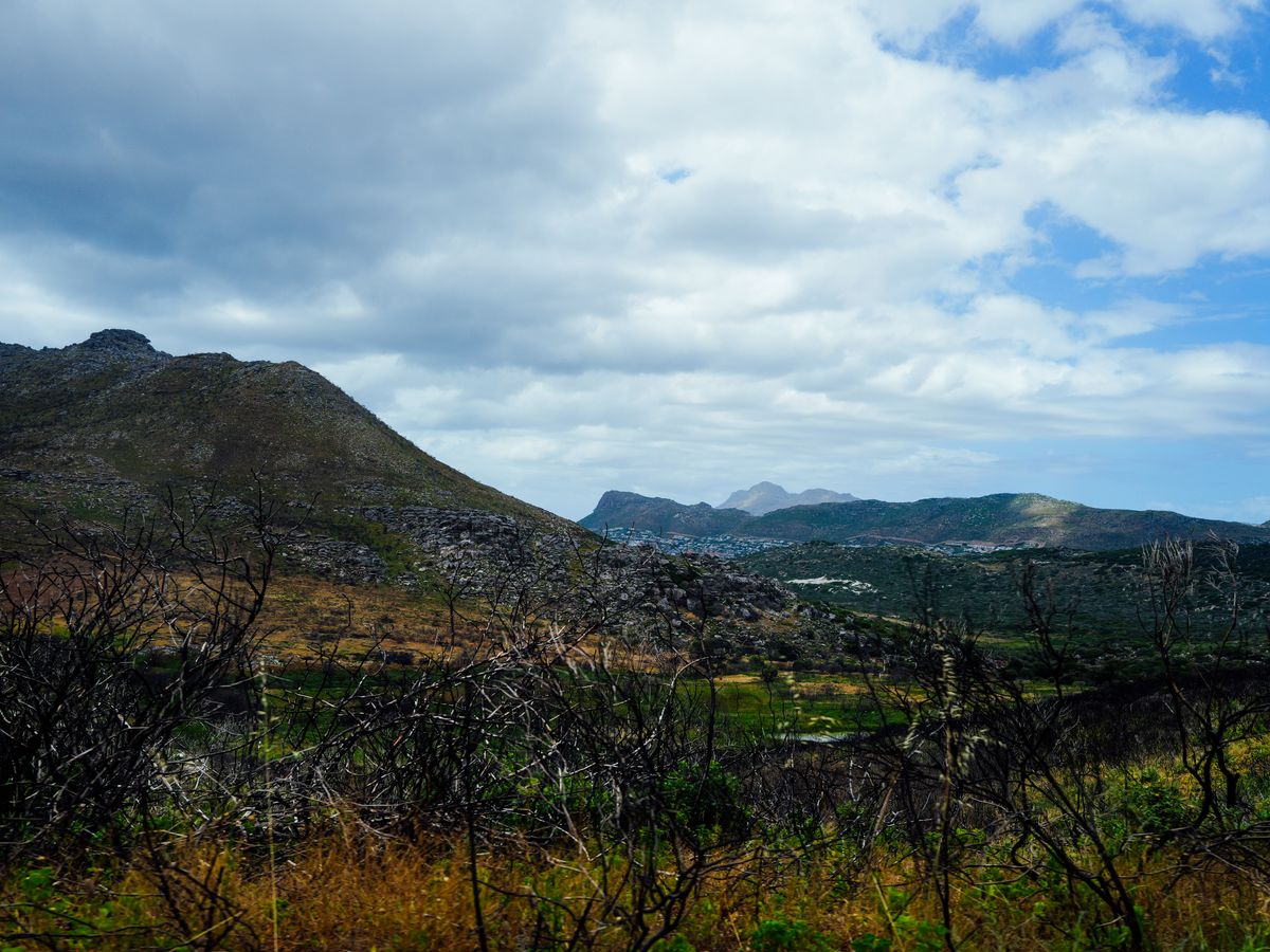 5 Day Wellness & Yoga: Rejuvenate Your Spirit in Mauritius 3