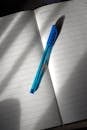 Open Notebook with Pen in Natural Light