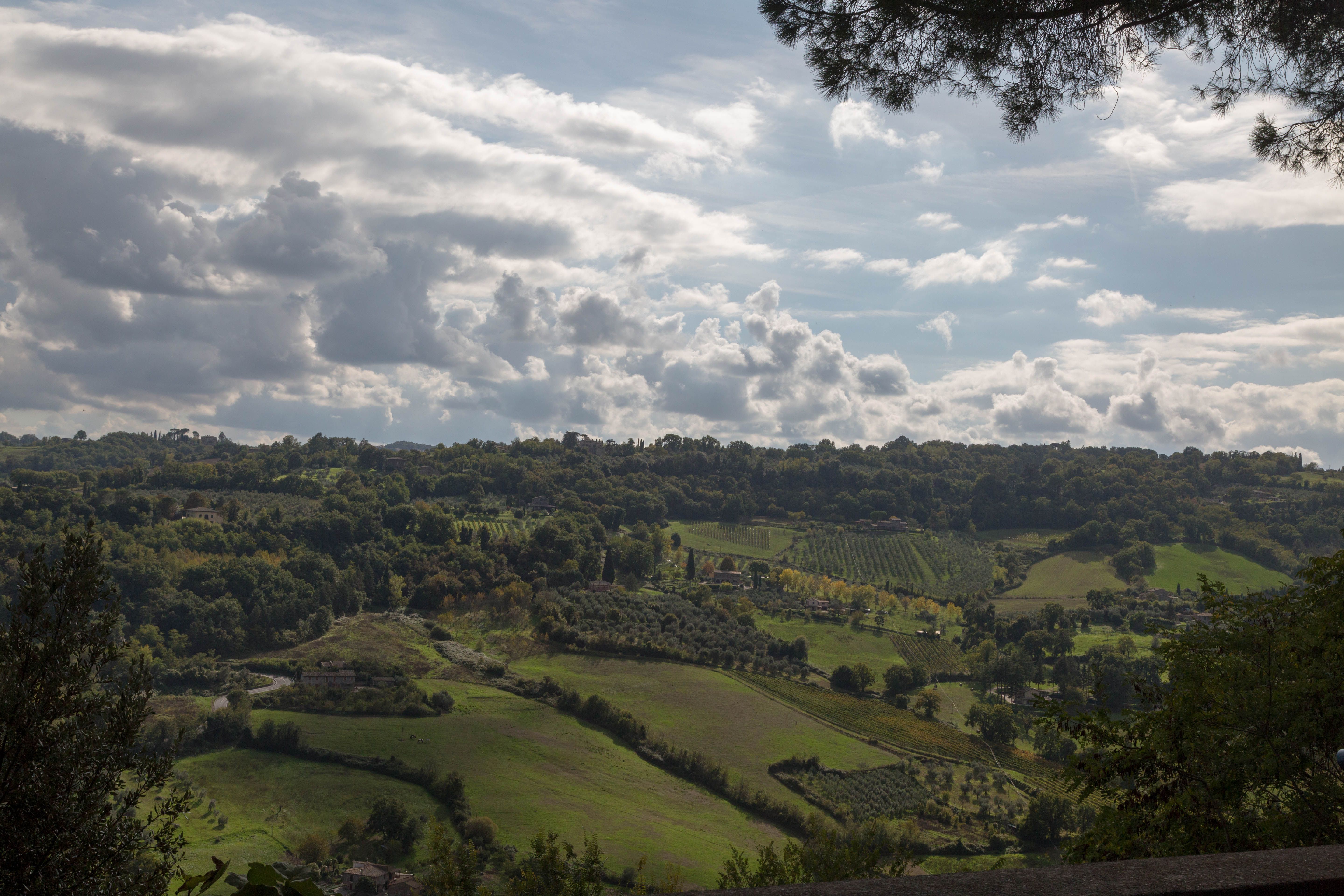 Scenic Landscape of Rolling Hills and Fluffy Clouds · Free Stock Photo