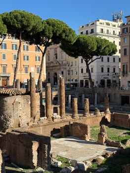 Historical Roman ruins of Largo di Torre Argentina with ancient columns and architecture.