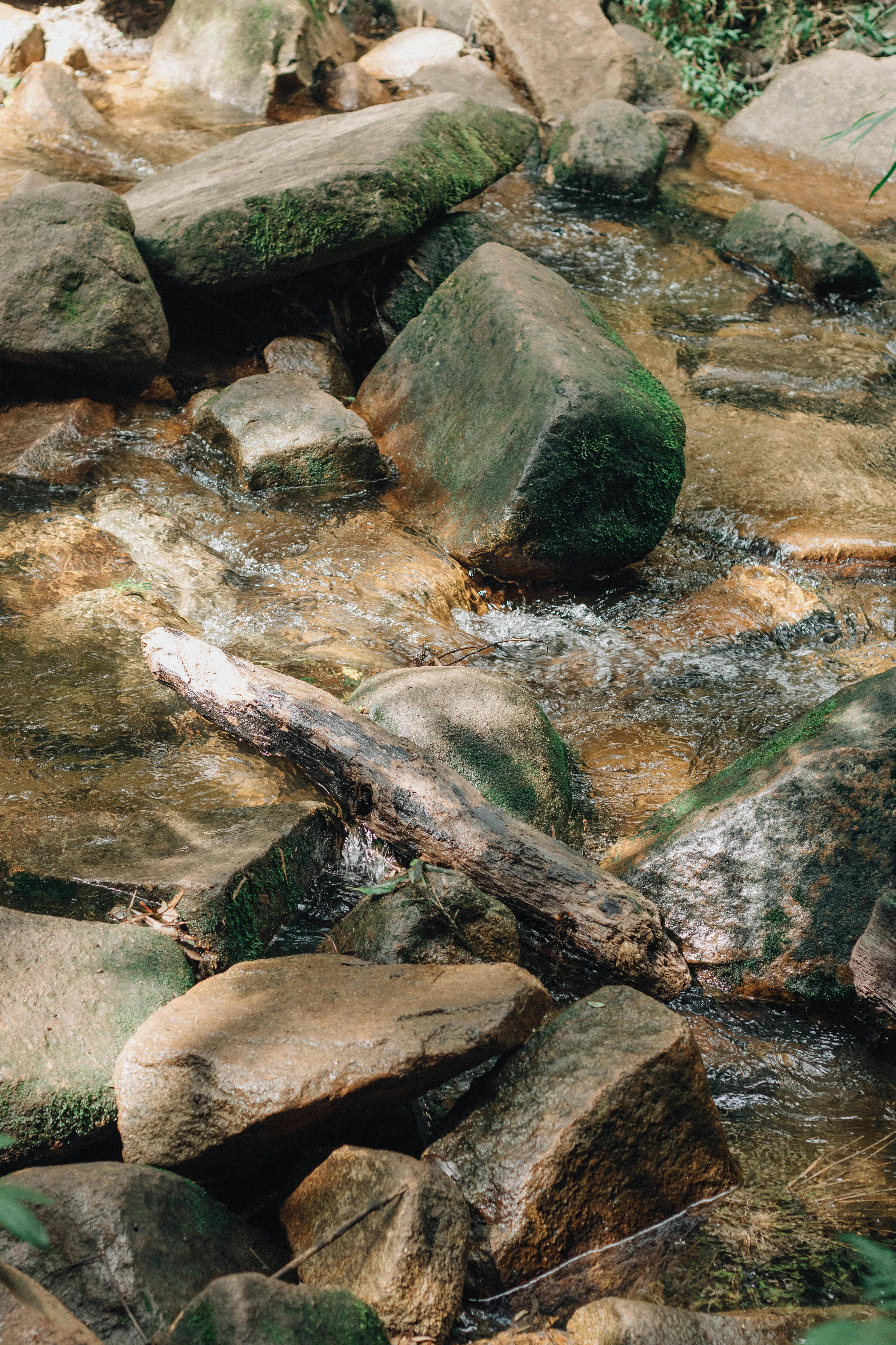 bezplatná Klidný potok tekoucí přes mechové skály v bujném, přírodním prostředí, zachycující klid přírody. Základová fotografie