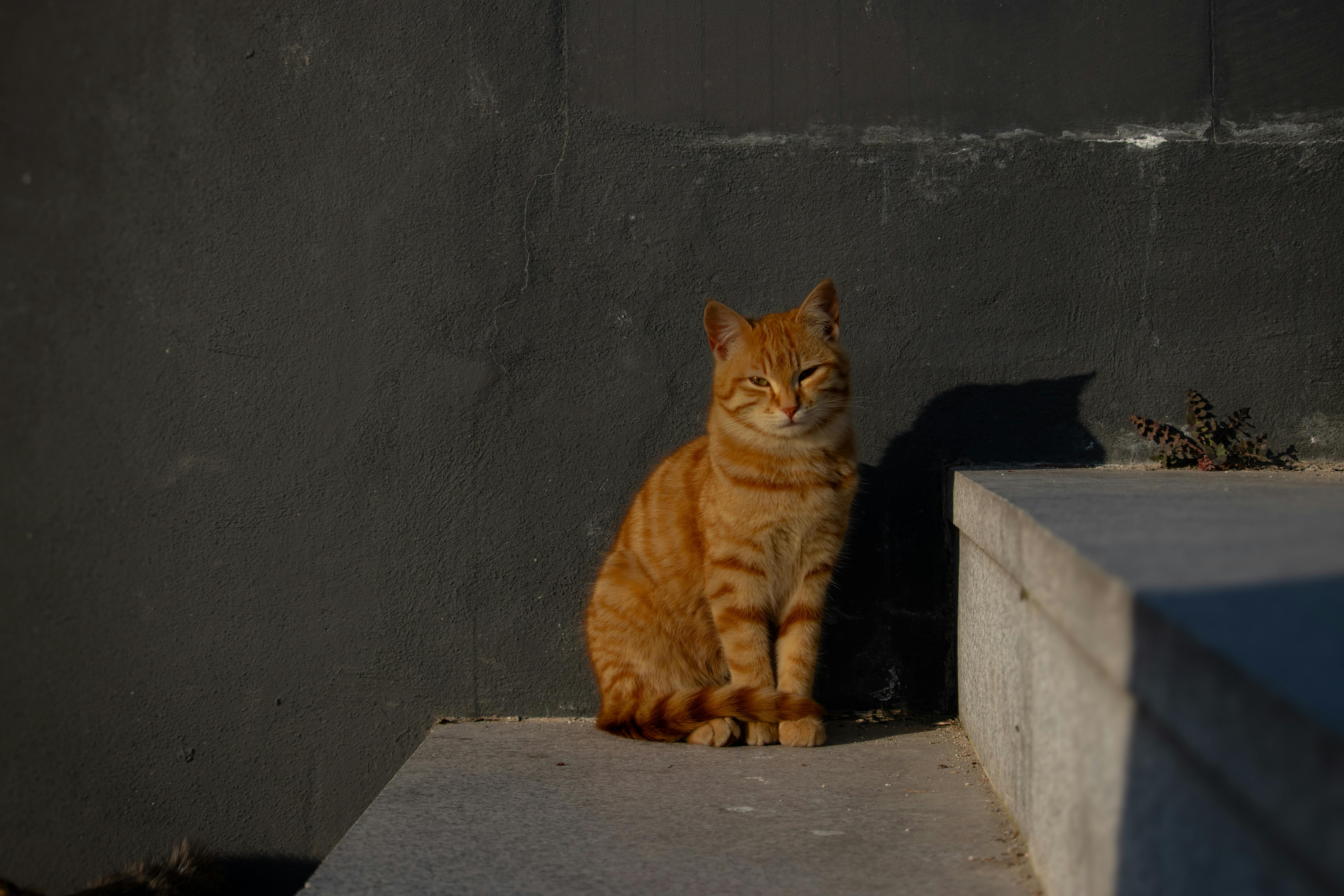 Gratis stockfoto met architectuur, beton, betonnen constructie Stockfoto