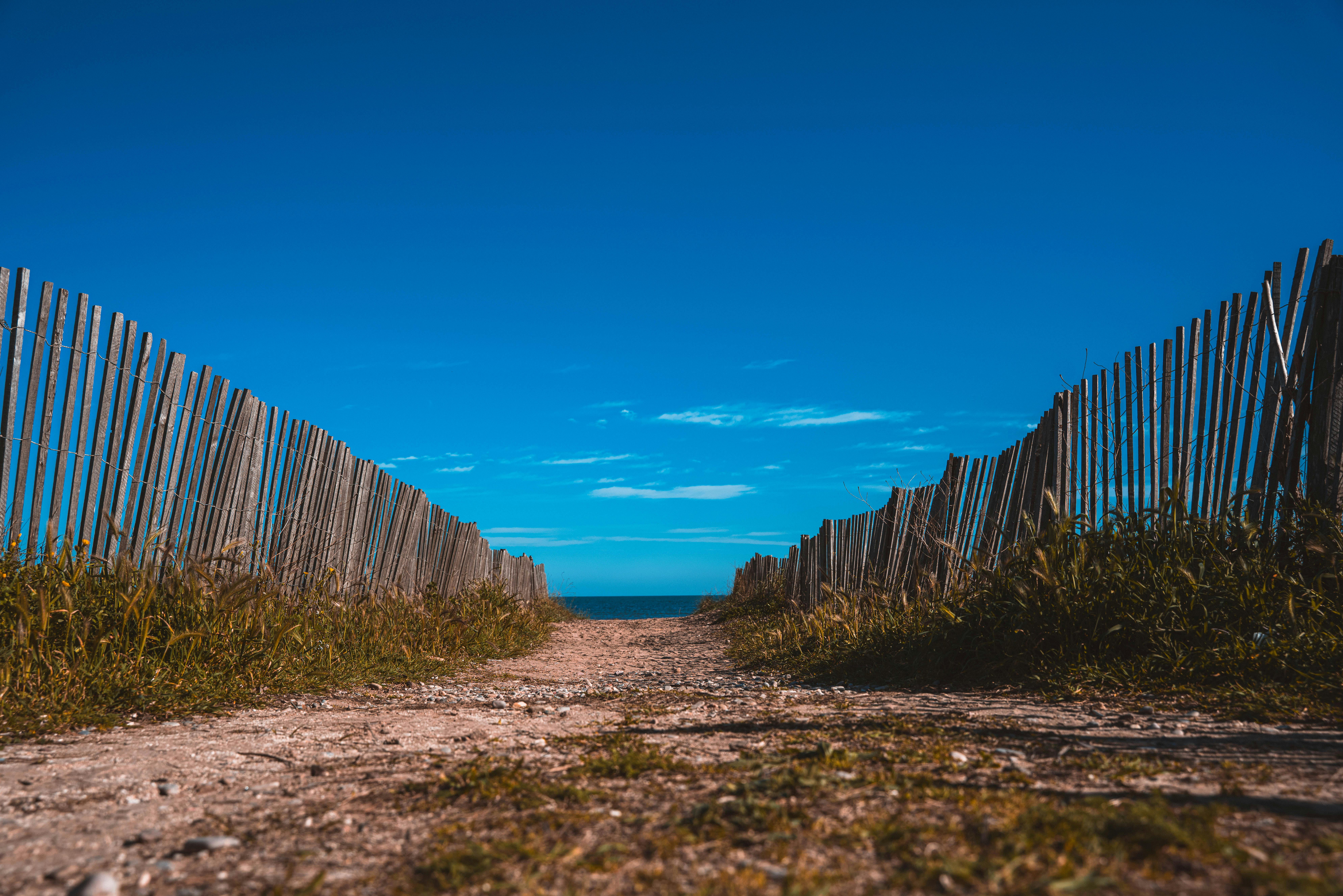 Gratis Sandsti, der fører til Middelhavet under en klar blå himmel i Hyères, Frankrig. Lagerfoto
