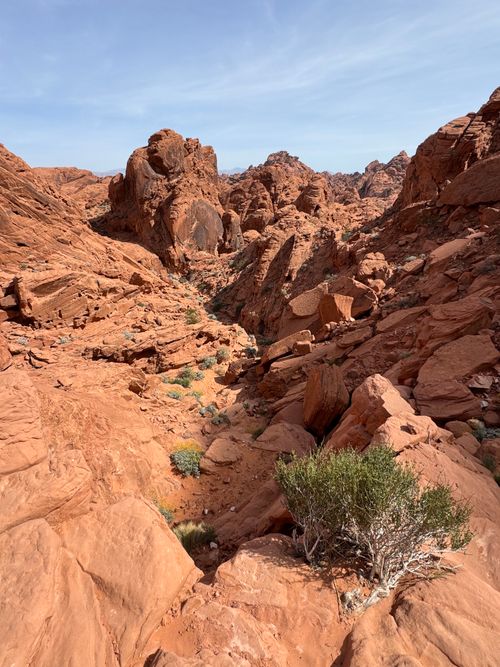 Free Explore the stunning red rock formations of Moapa Valley, Nevada, under a clear blue sky. Stock Photo