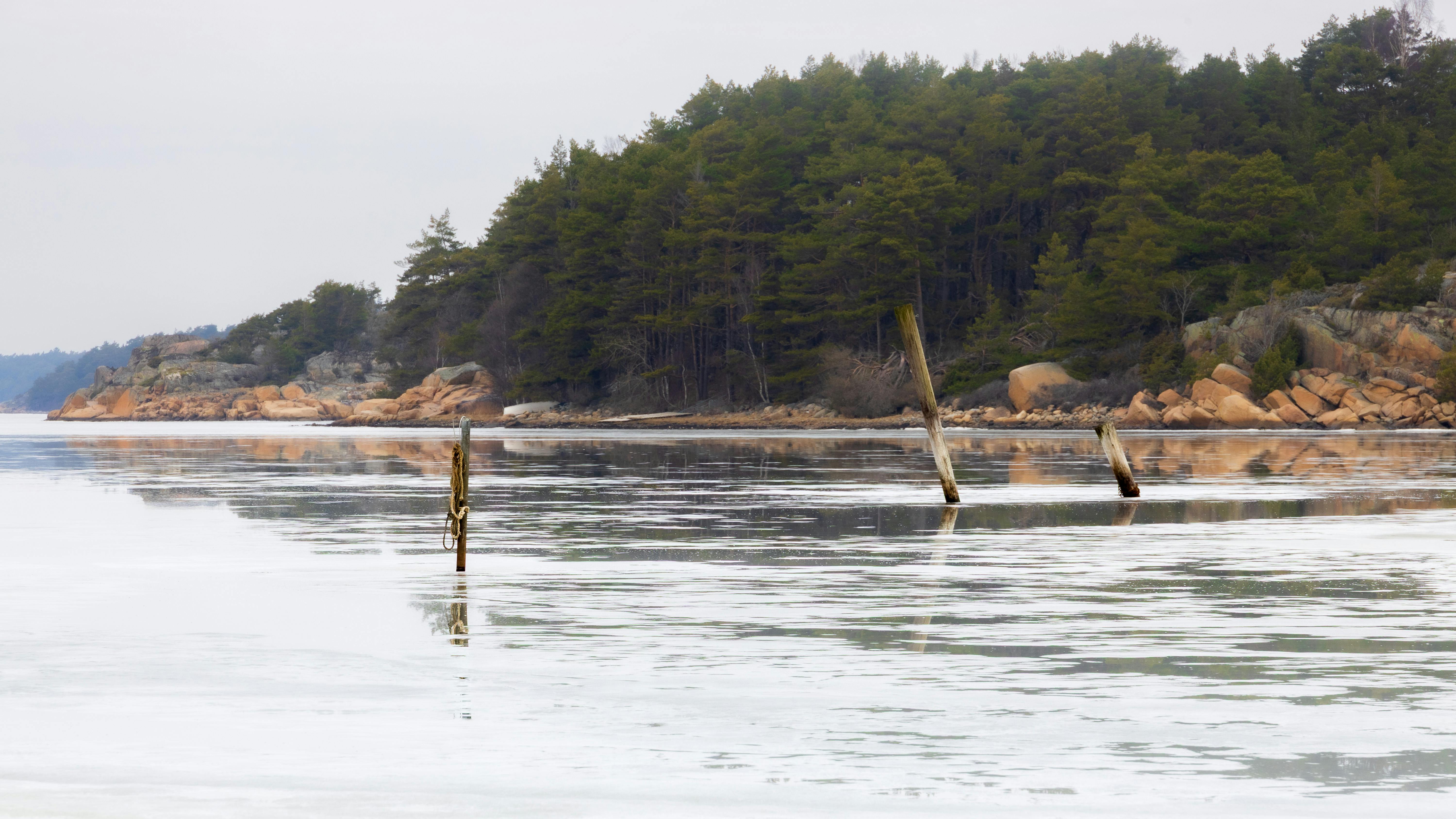Miễn phí Một khung cảnh mùa đông yên bình của bờ biển băng giá ở Havstenssund, Thụy Điển, với mặt nước phủ đầy băng và đường bờ biển rợp bóng cây. Ảnh lưu trữ