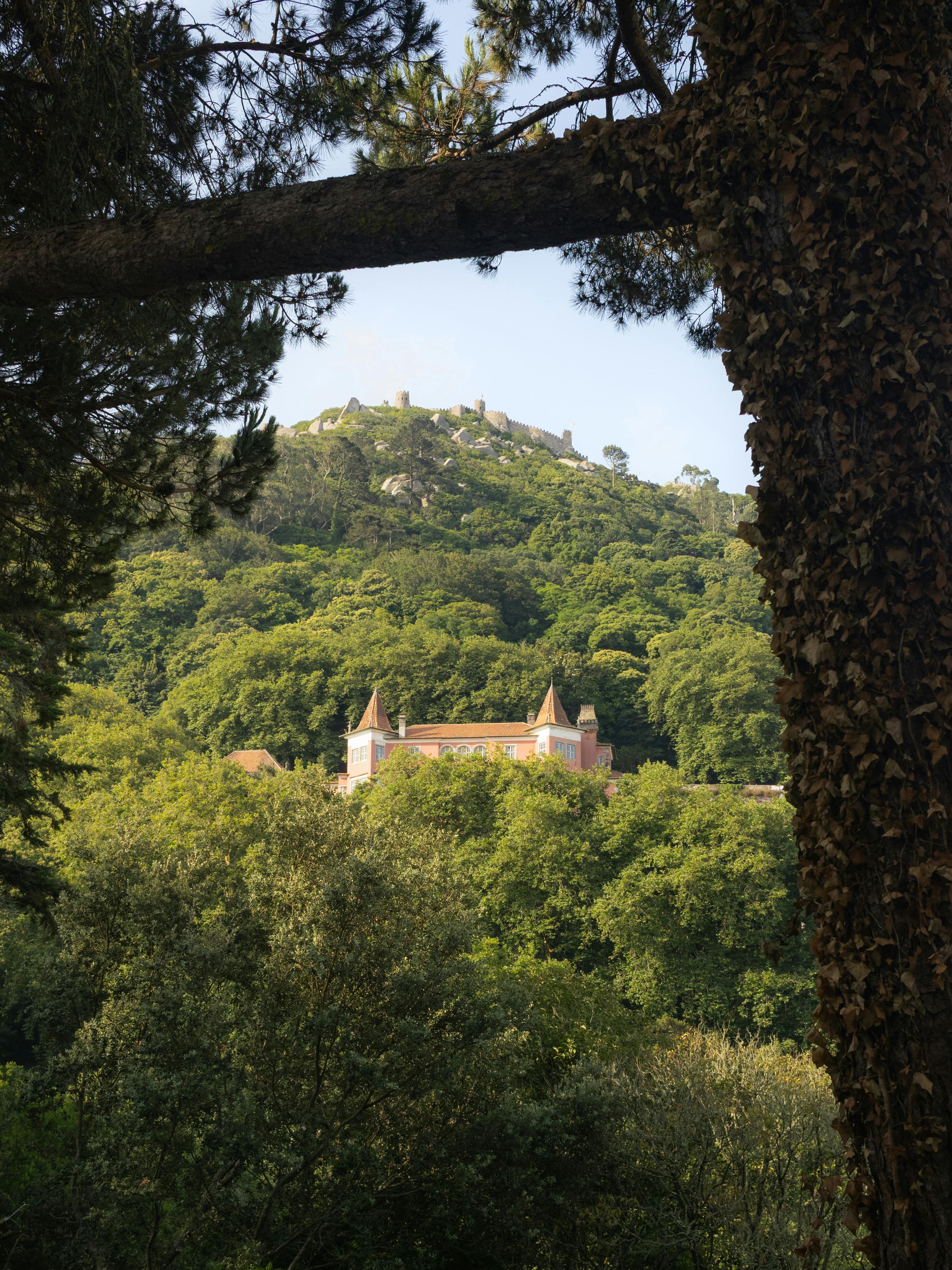 Miễn phí Khung cảnh thanh bình của một lâu đài cổ kính được bao quanh bởi cây xanh tươi tốt ở Sintra, Bồ Đào Nha. Ảnh lưu trữ