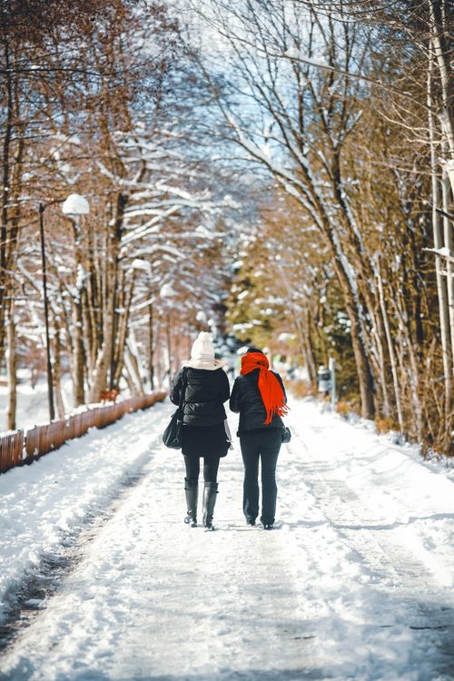 Free Two adults enjoy a winter walk on a snow-covered pathway lined with trees. Stock Photo