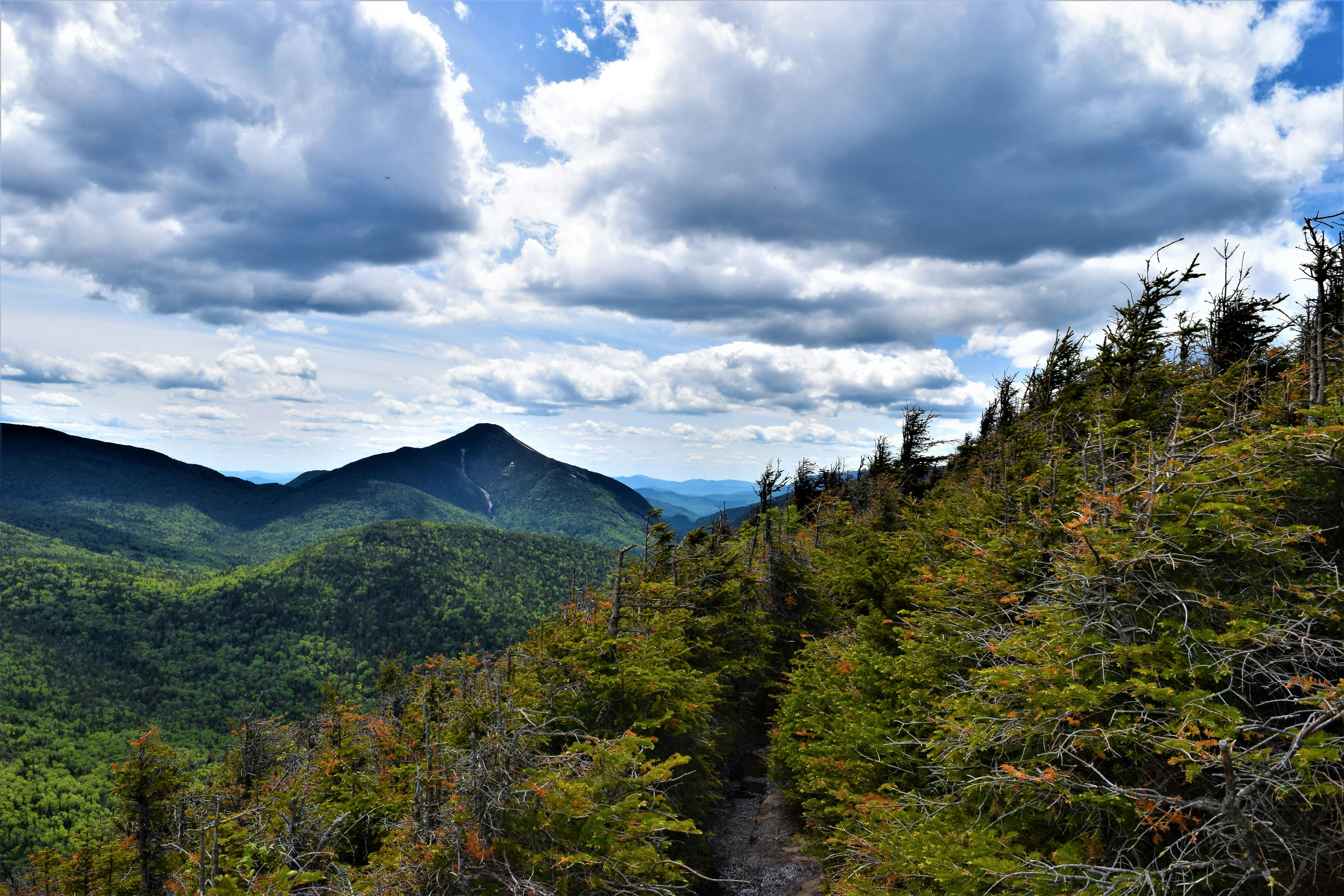 Enfants dans une cour d'école en France