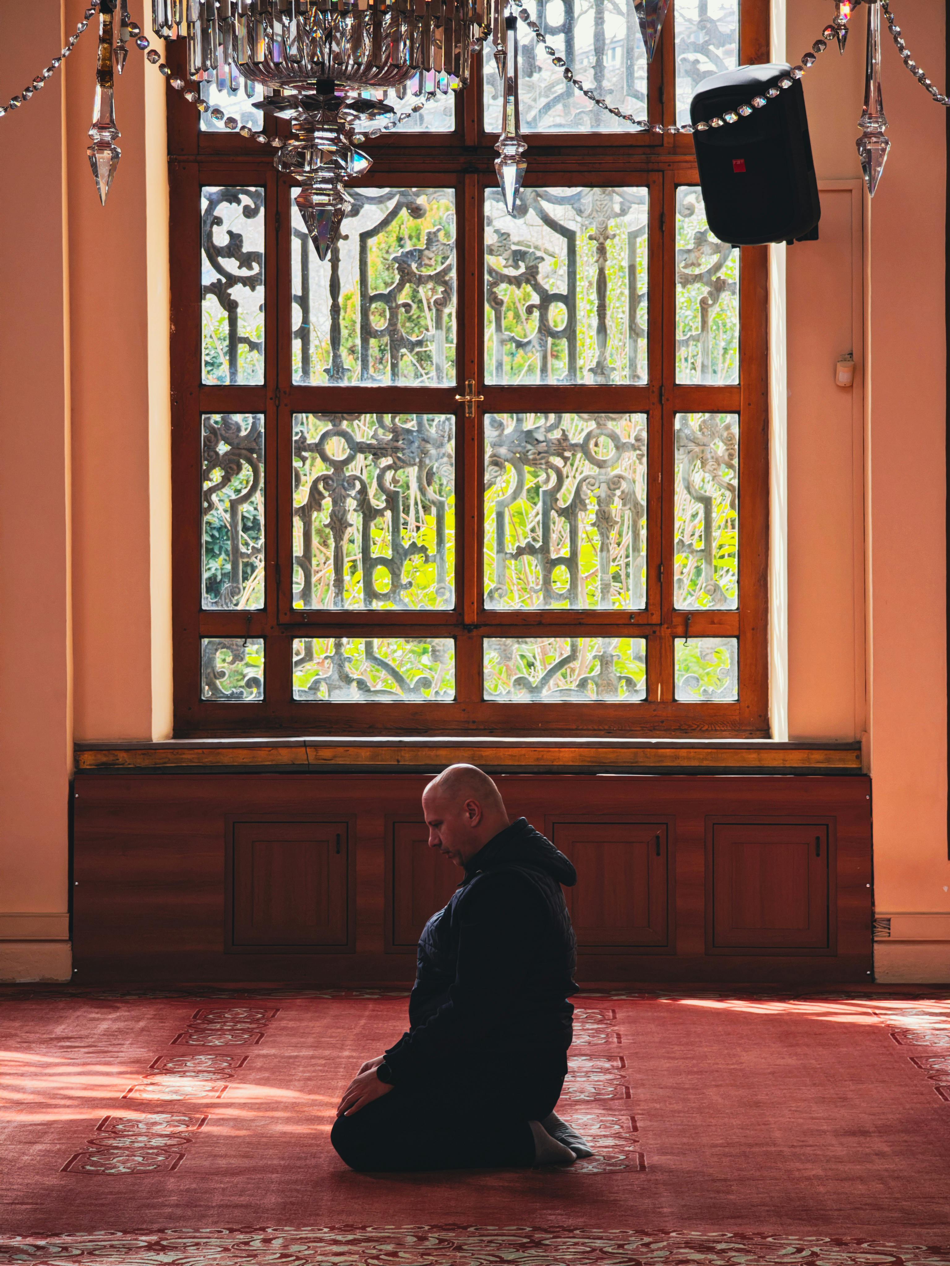 Zadarmo Fotobanka s bezplatnými fotkami na tému # indoor, architektúra, červený koberec Fotka z fotobanky