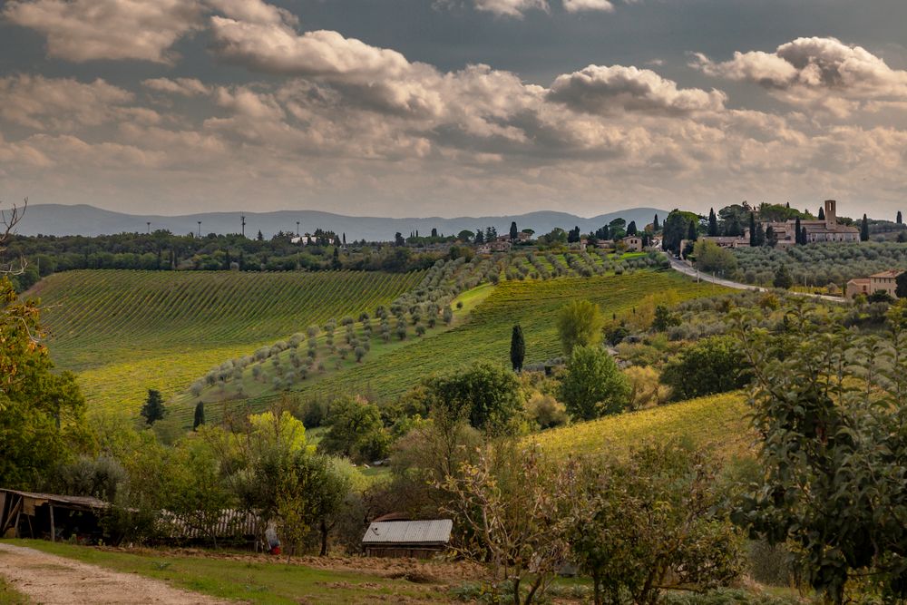 Dealuri toscane cu vii și un sat medieval în depărtare, în zona Chianti