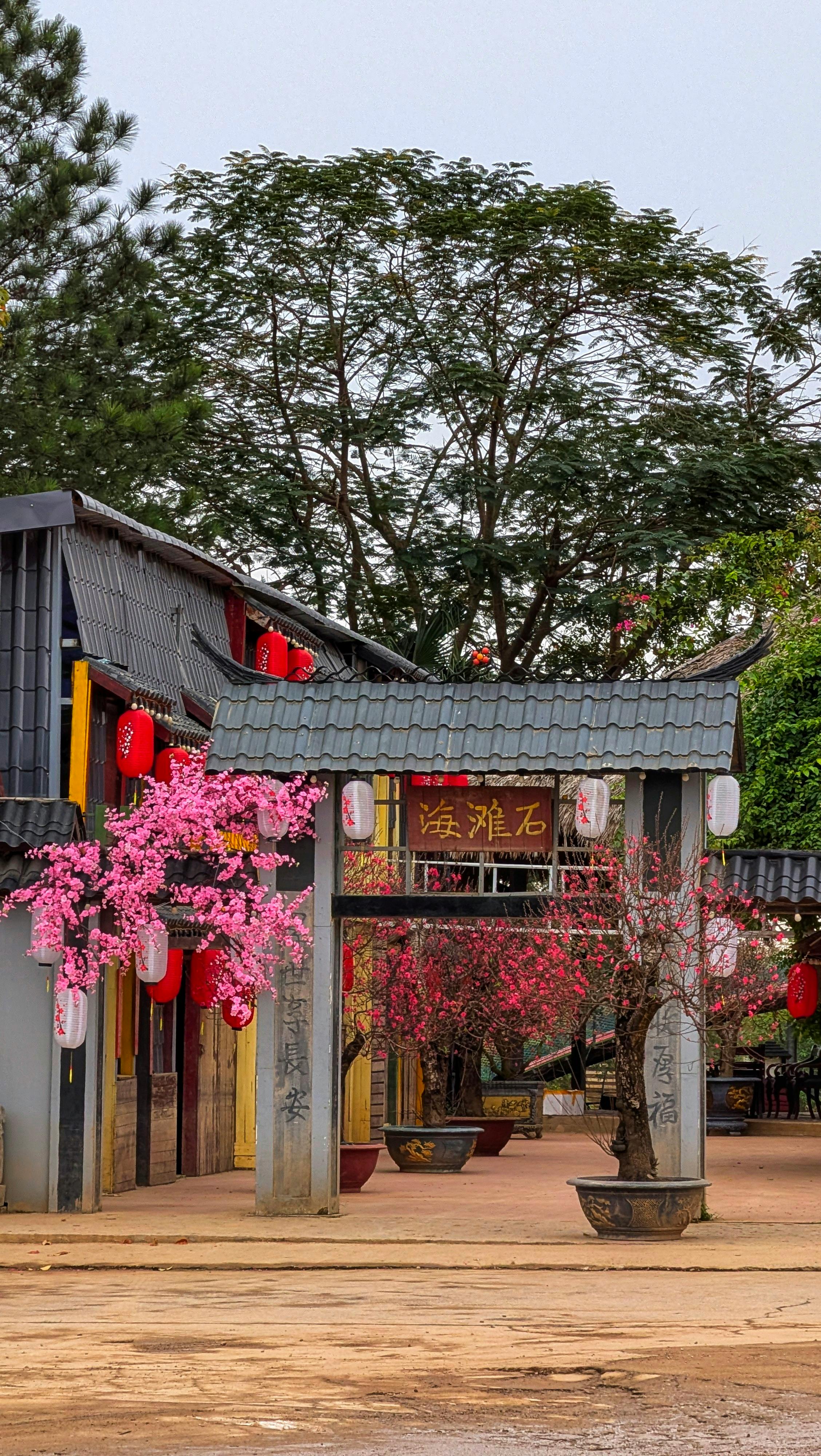 Traditional Architecture with Blooming Cherry Blossoms