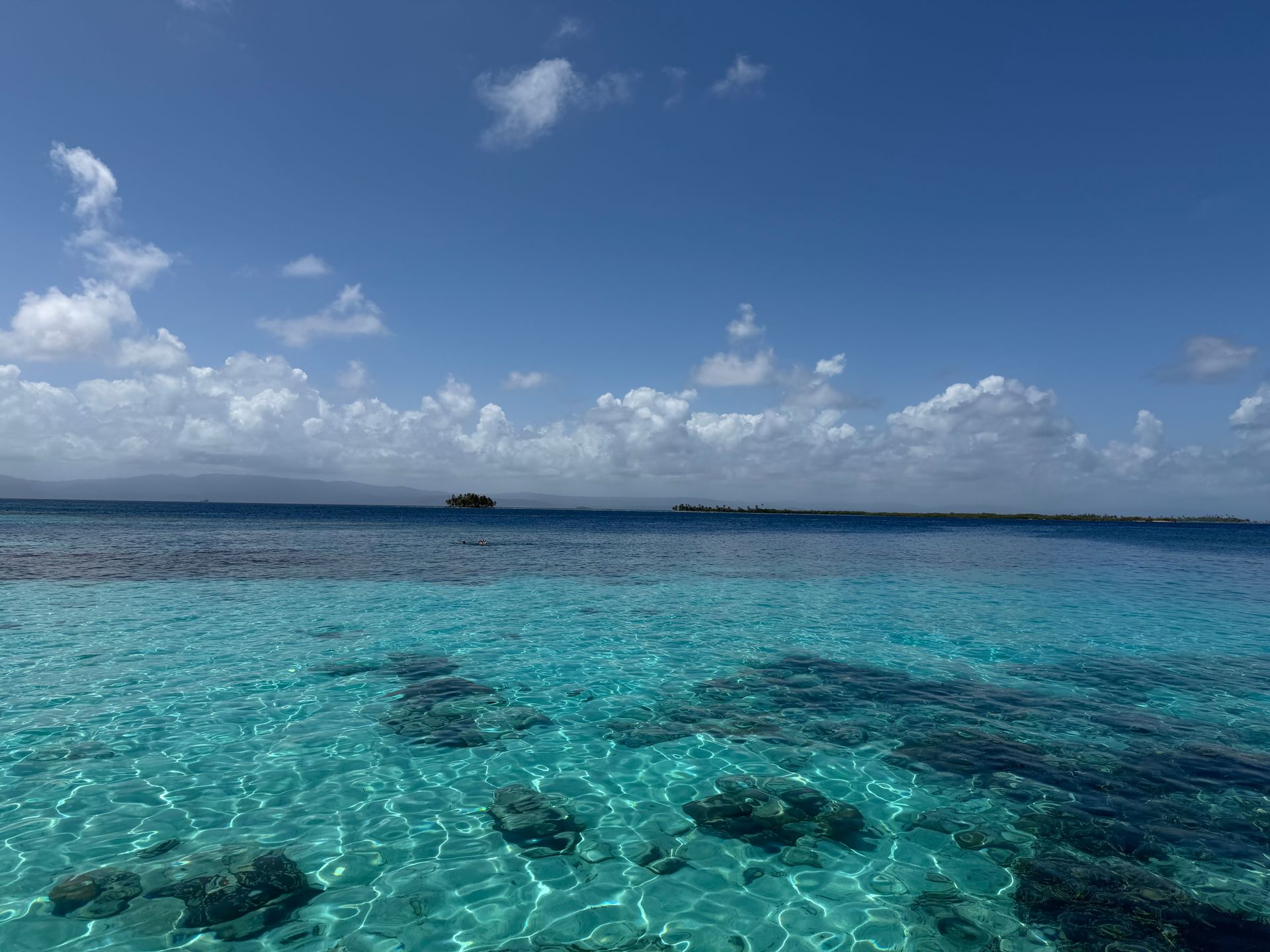 Underwater at Grace Bay Wall