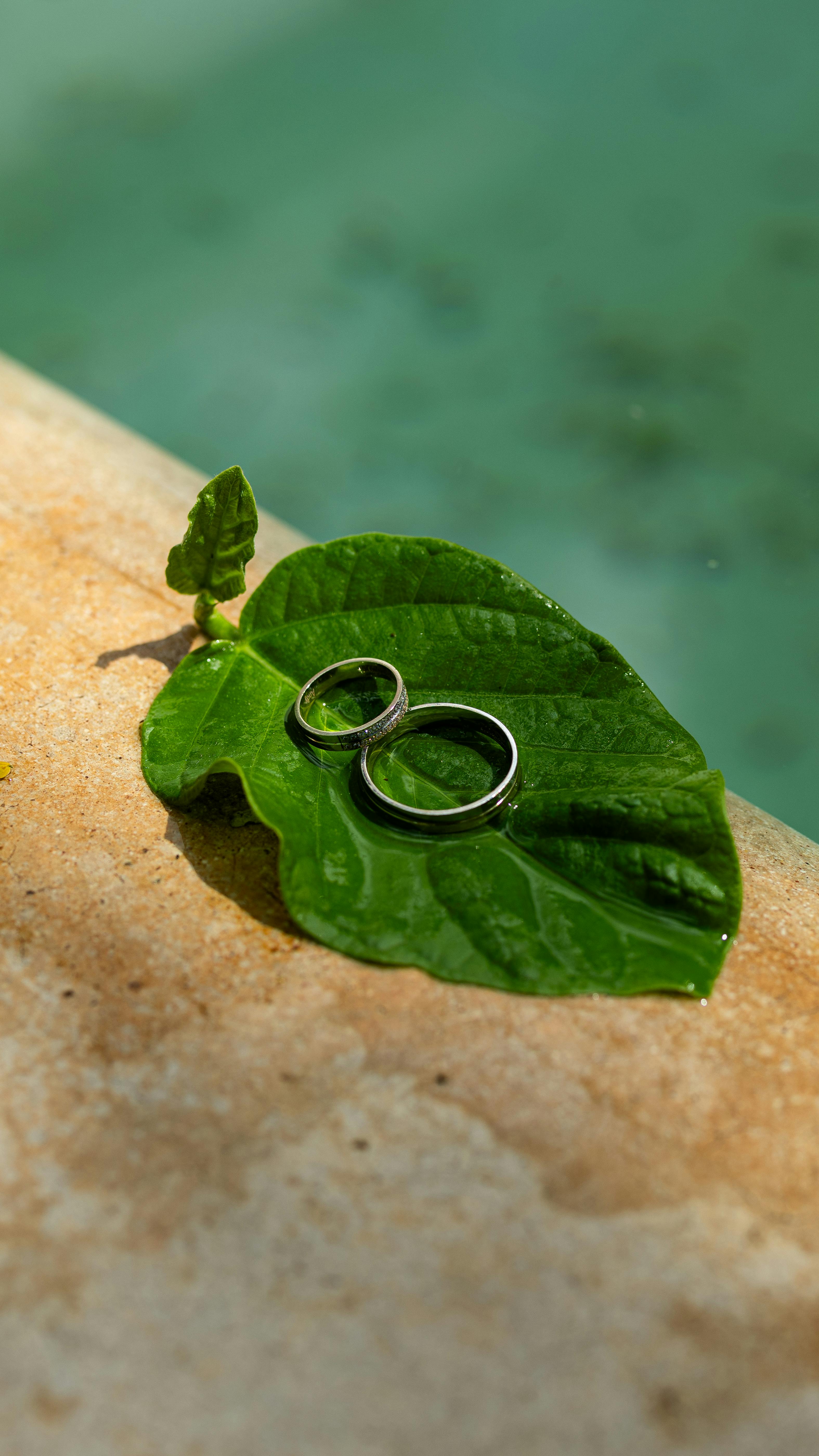 Miễn phí Hai chiếc nhẫn cưới bằng bạc nằm trên một chiếc lá xanh bên cạnh một hồ nước tĩnh lặng. Ảnh lưu trữ