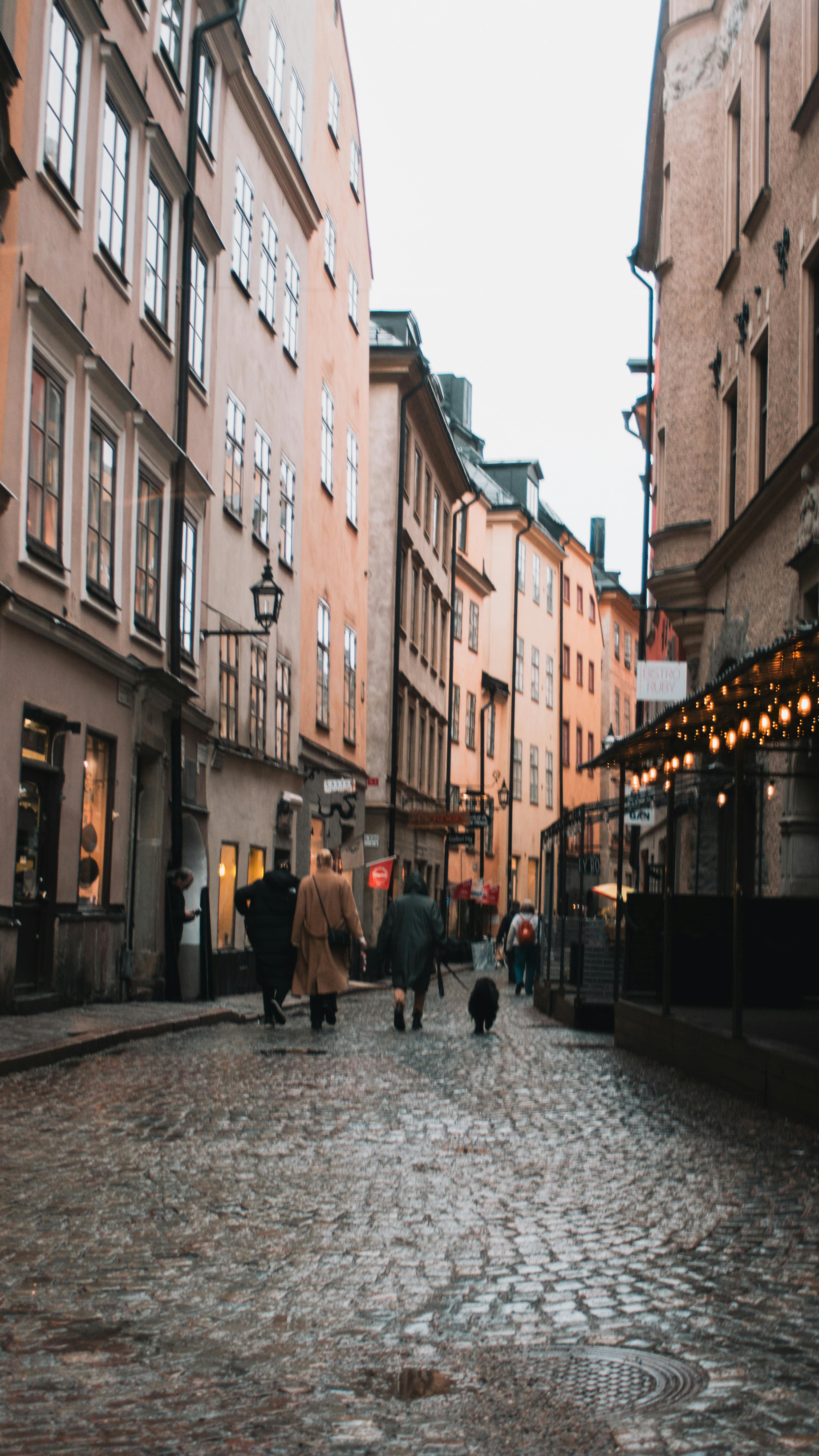 Ingyenes stockfotó atmosfera de outono, ég, elbűvölő témában Stockfotó