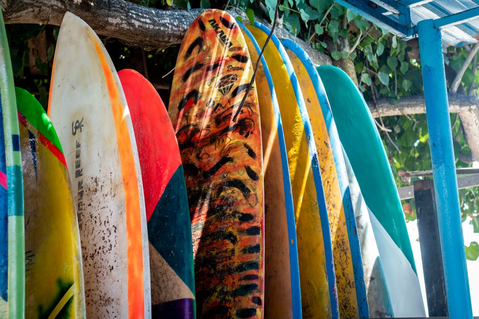Vibrant surfboards lined up by the beach, ready for action.
