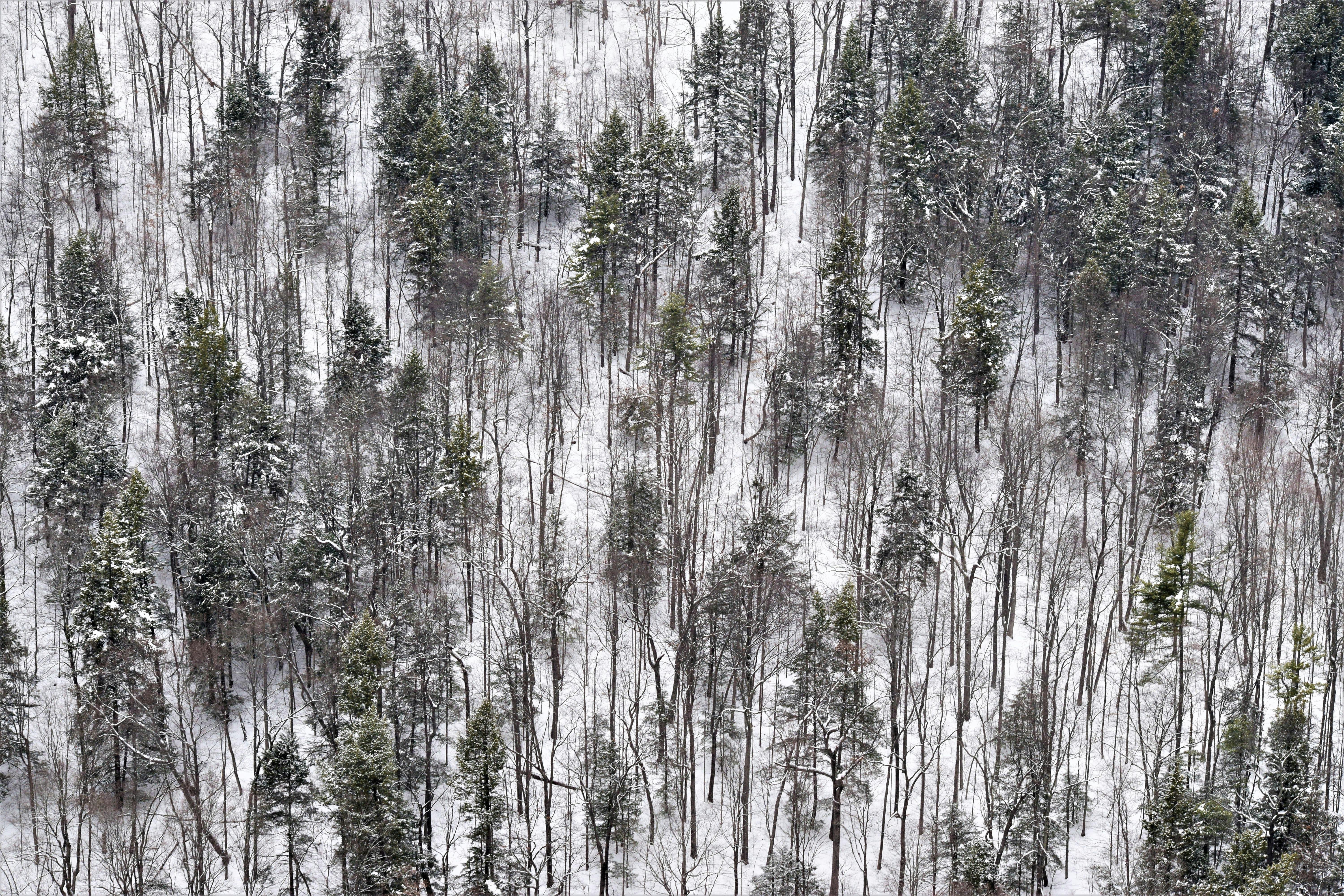 Free stock photo of camp, frozen, new york