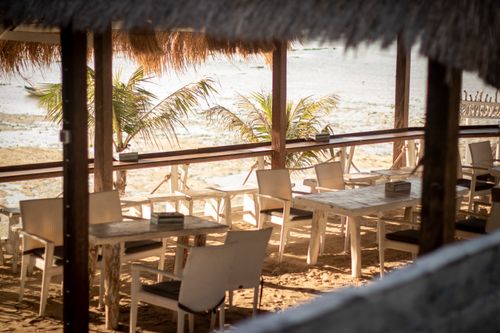 Free Serene beachside restaurant with empty tables and chairs, under thatched roof, overlooking palm trees and sand. Stock Photo
