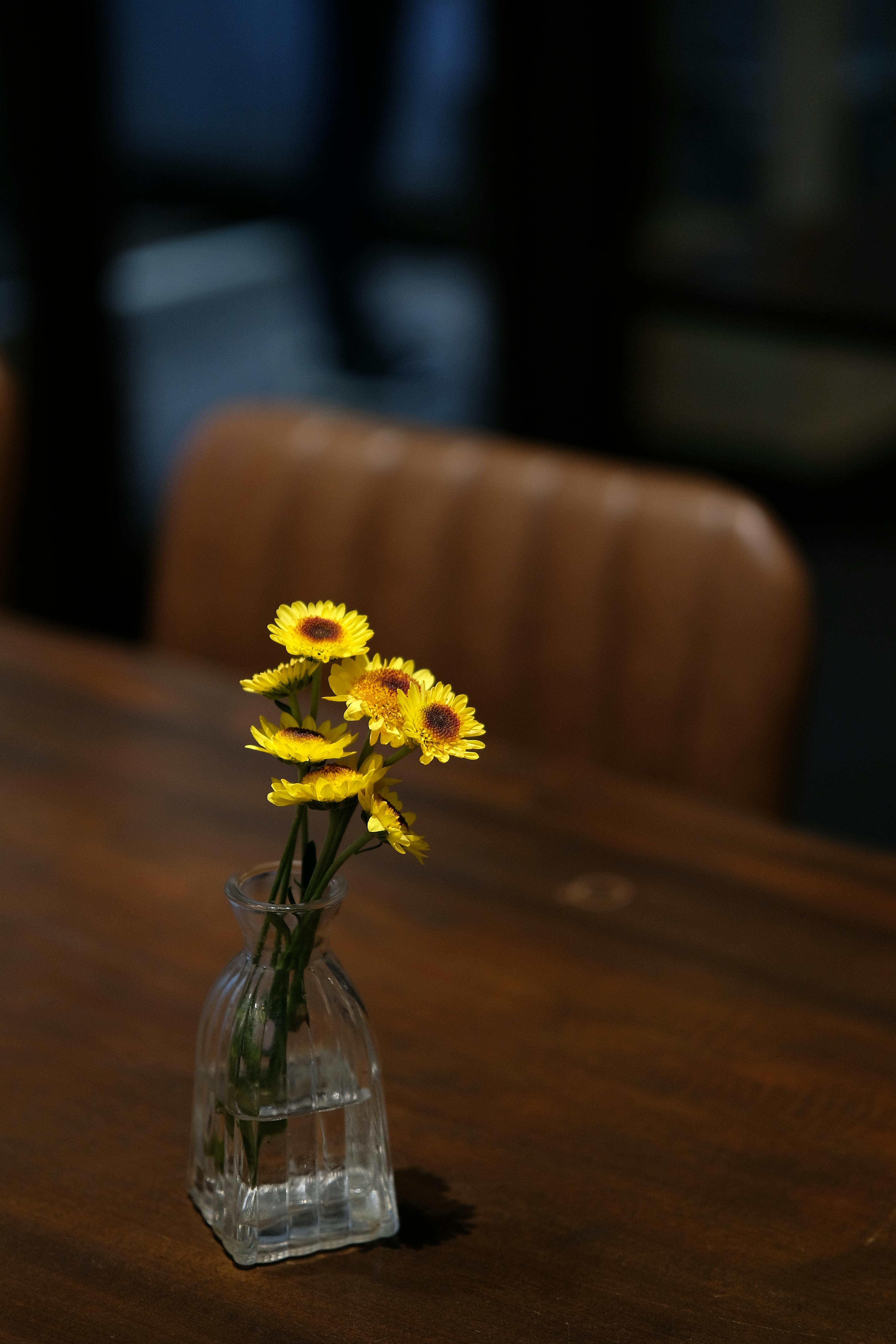 Miễn phí Ảnh lưu trữ miễn phí về ánh sáng dịu, bàn gỗ, bầu không khí êm dịu Ảnh lưu trữ