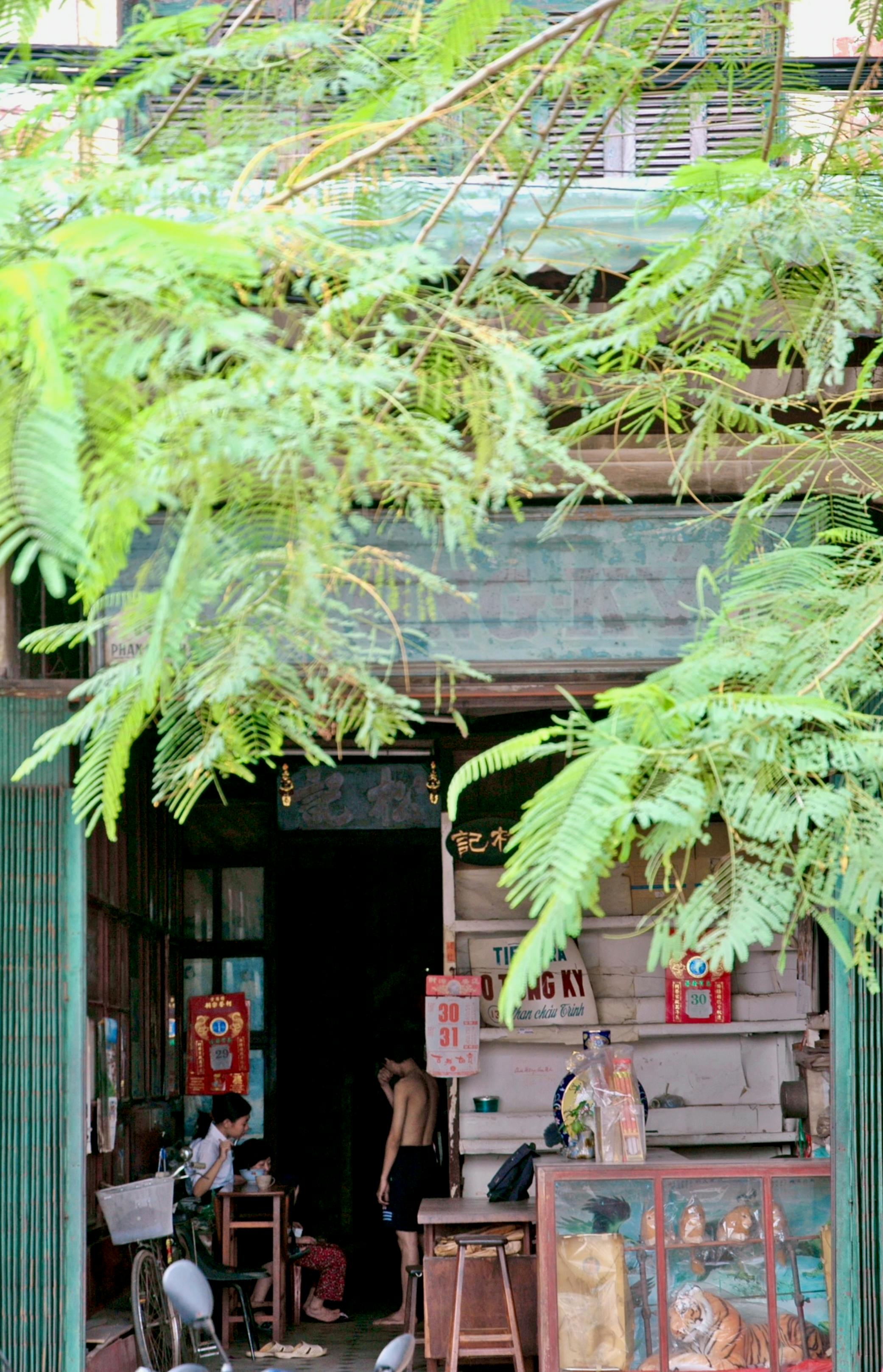 Mugging The Muse 2 New