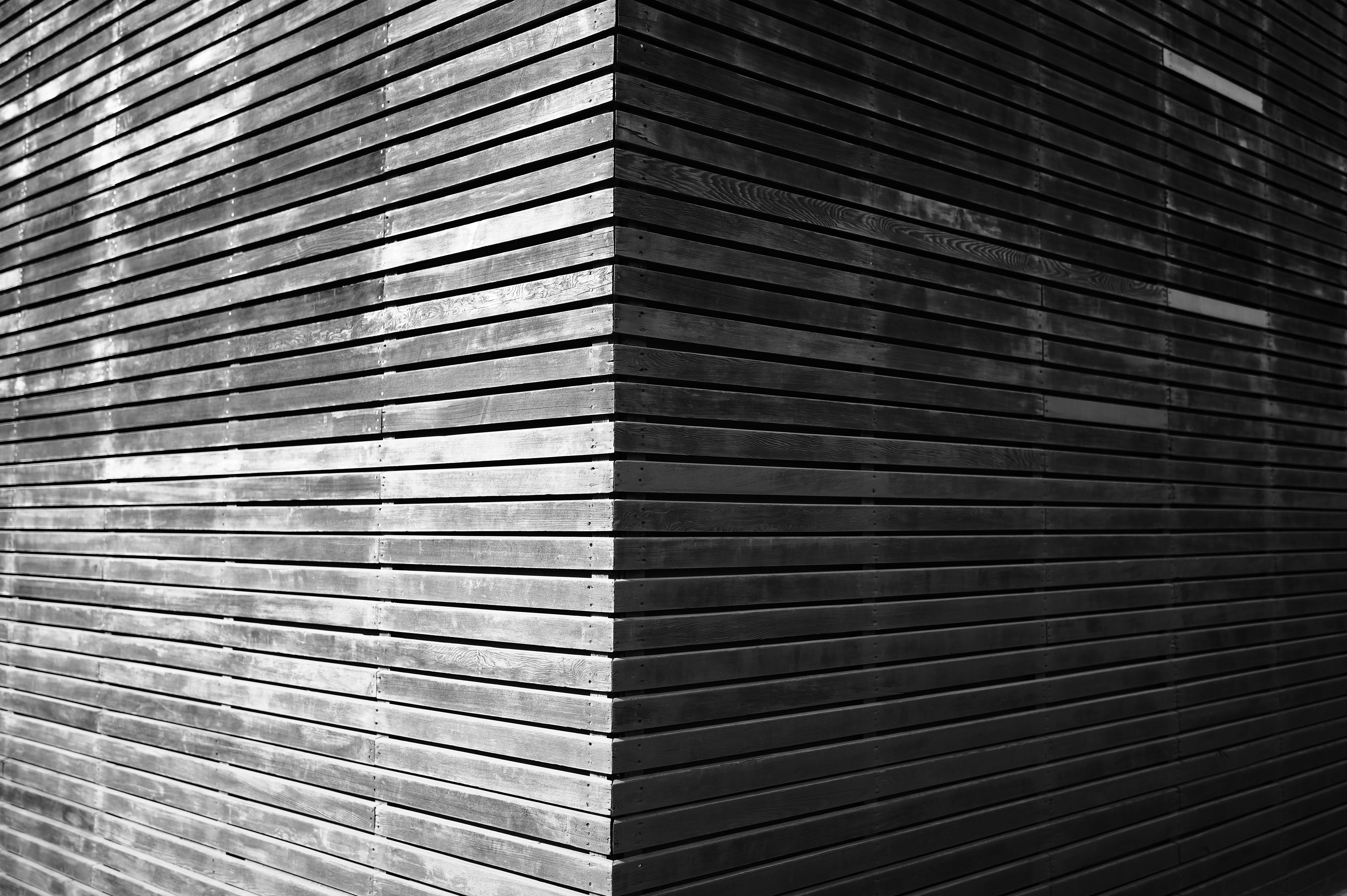 Fence and Decking Painting in Camden Town — walls rolled to an even, flat finish