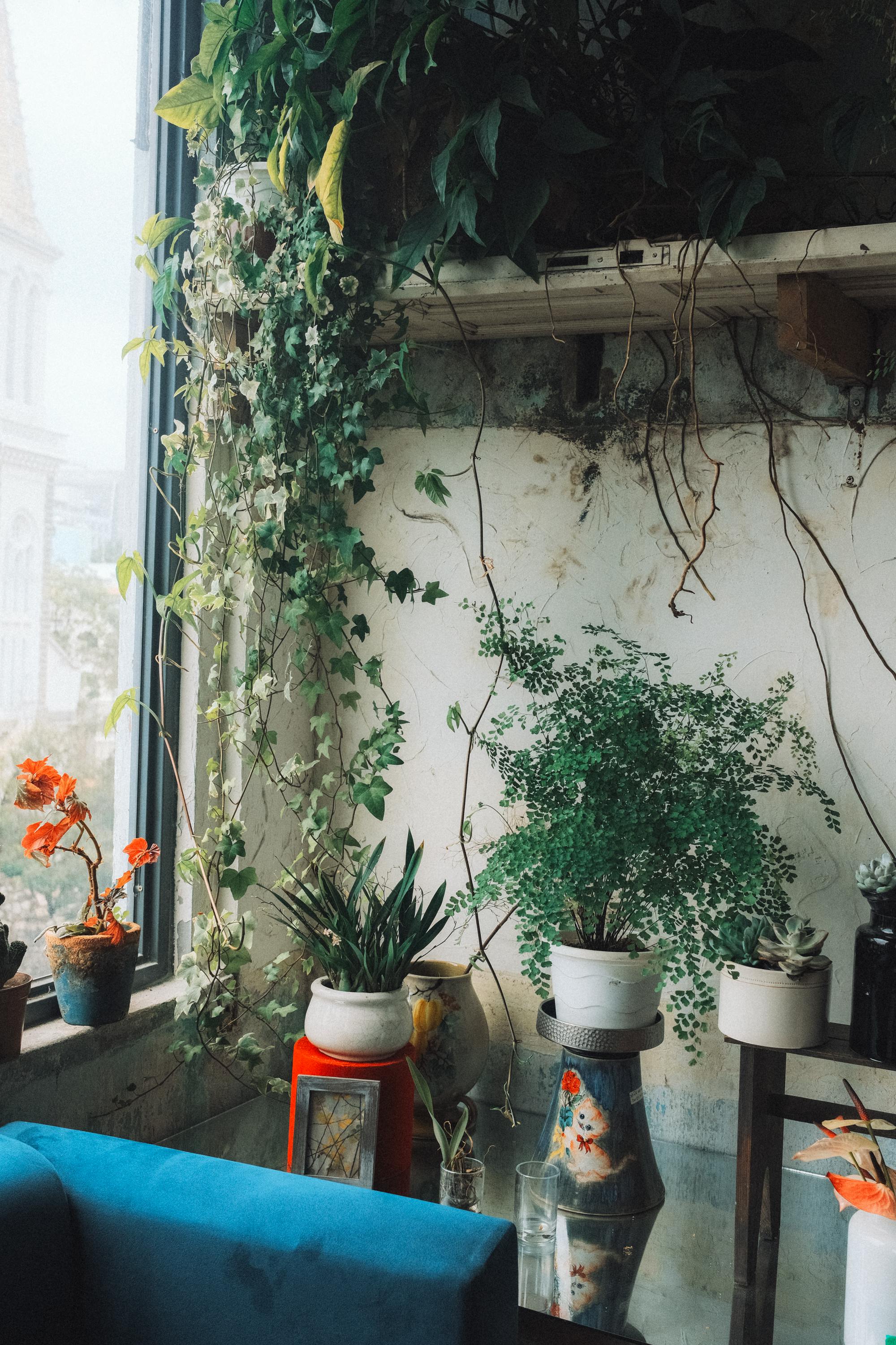 Miễn phí Góc vườn trong nhà sáng sủa và xanh mát tại Thành phố Hồ Chí Minh, Việt Nam. Ảnh lưu trữ