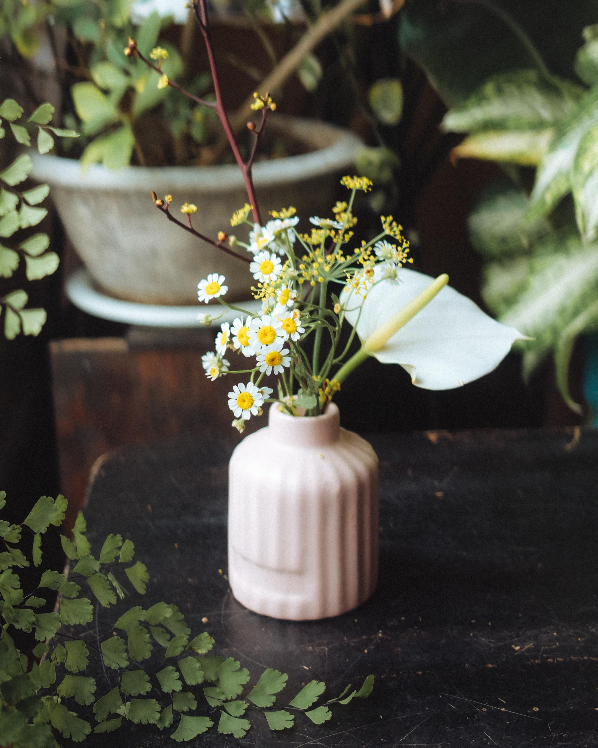 Bezpłatne Urocza kompozycja kwiatów w różowym wazonie na drewnianym stole, otoczona bujną zielenią. Zdjęcie z galerii