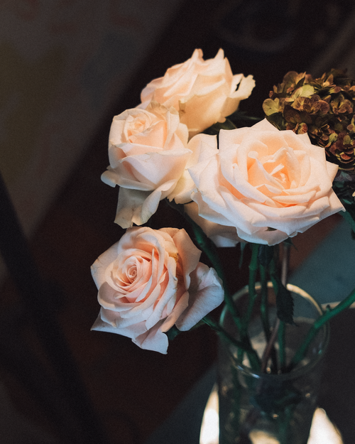 Free A serene arrangement of pale pink roses in a glass vase, captured at night, evoking a peaceful and elegant mood. Stock Photo