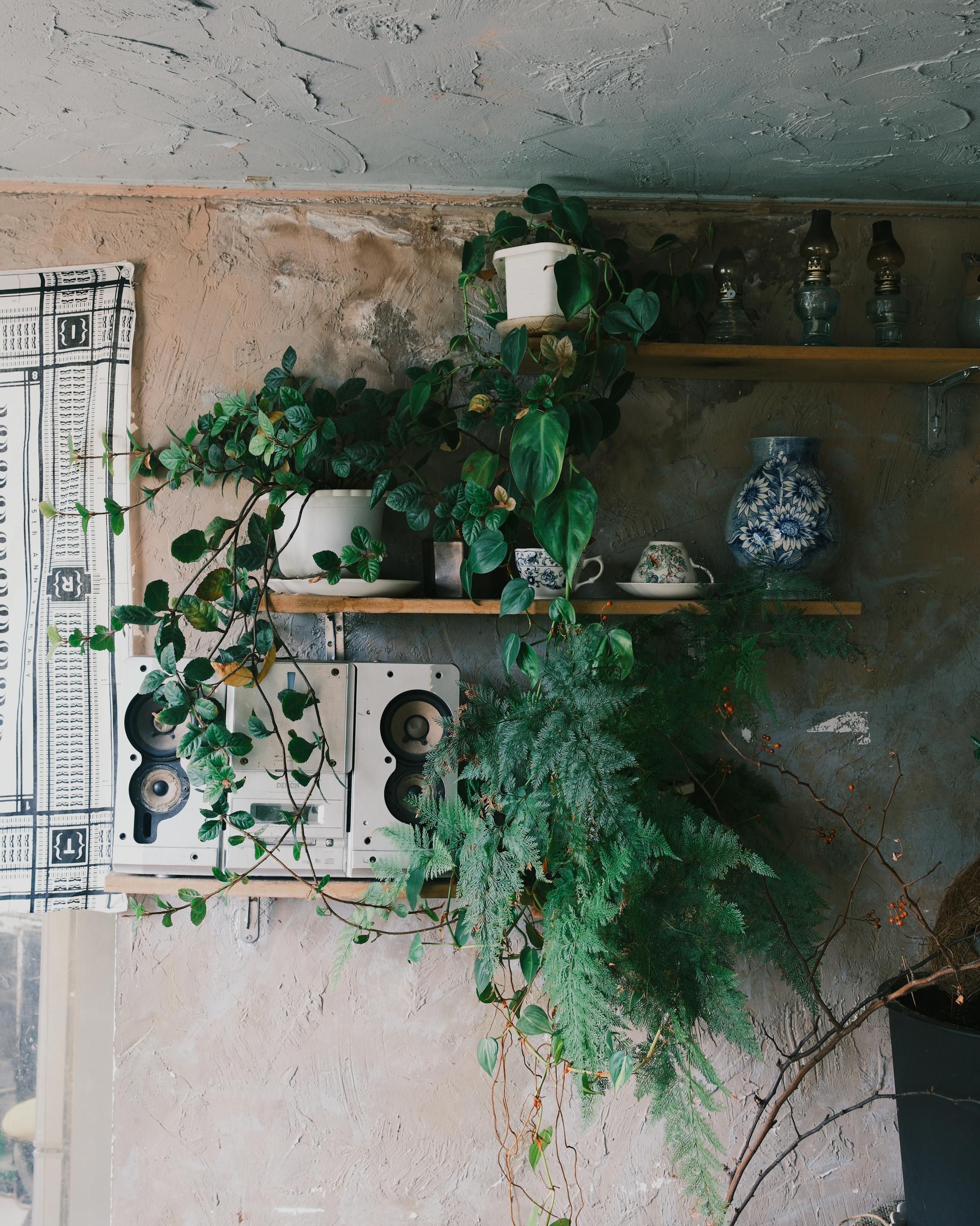 ingyenes Buja zöld növények díszítik a rusztikus, vintage dekorációjú polcokat egy hangulatos beltéri környezetben Ho Si Minh-városban. Stockfotó