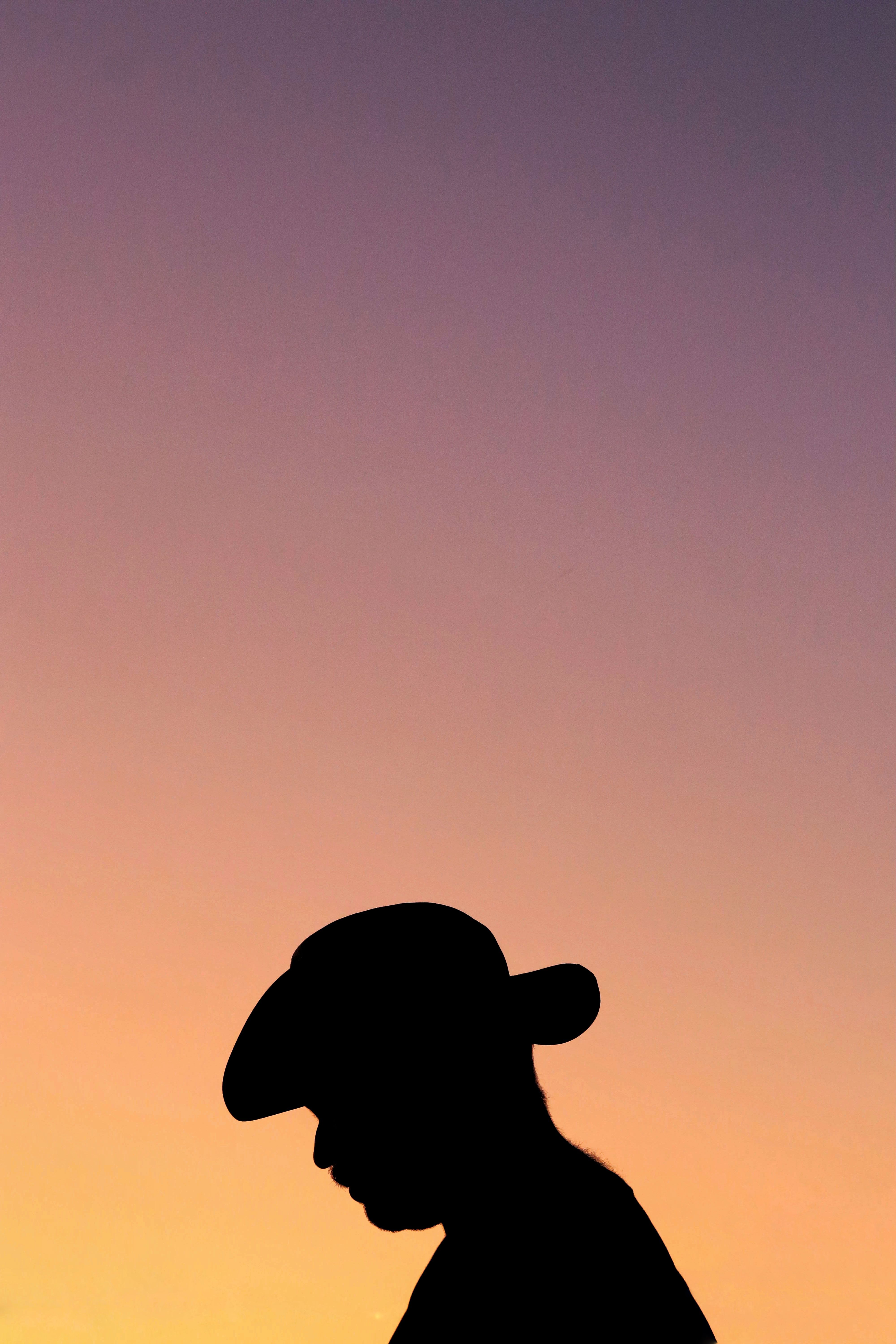 Shadow Of A Cowboy Photos, Download The BEST Free Shadow Of A Cowboy ...