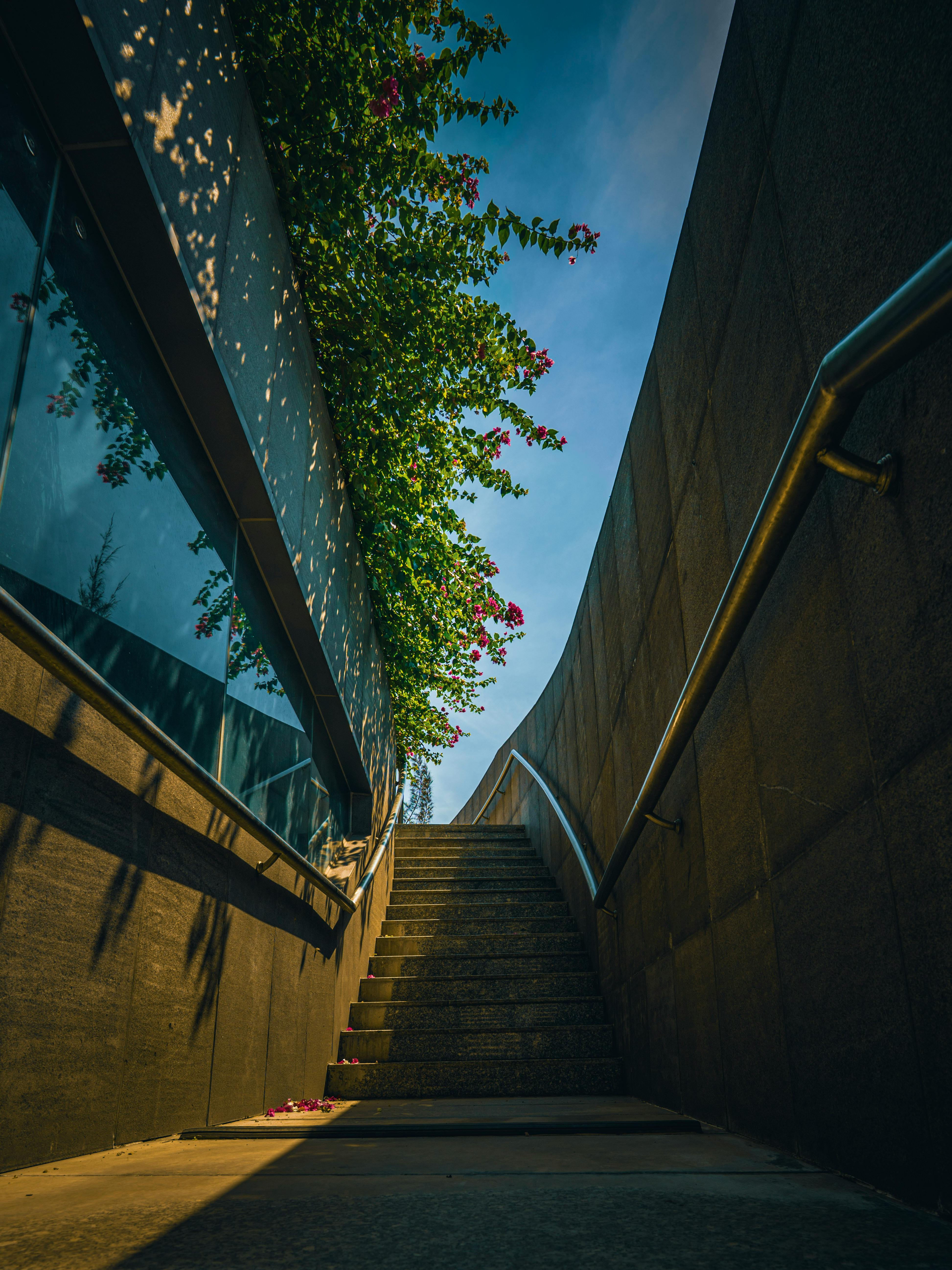 bezplatná Kamenné schodiště vede ven, orámované zářivě růžovou bugenvileí a moderní architekturou. Základová fotografie