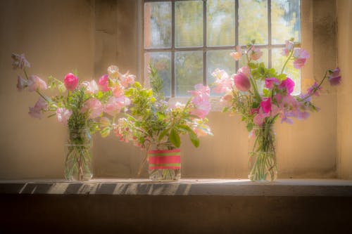 Free stock photo of flowers, windowsill