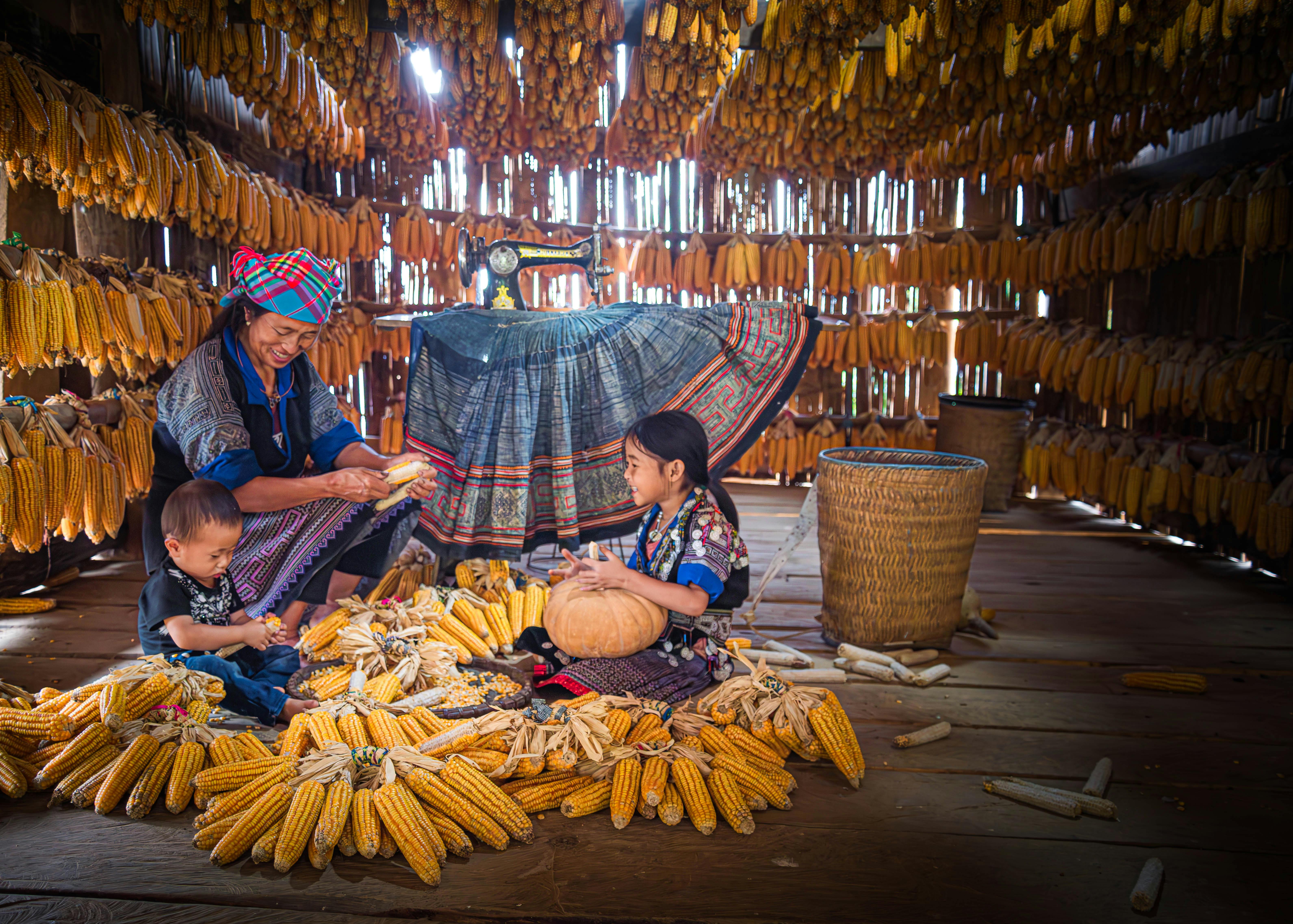Indigenous Travel Guide: Exploring the Ten Best Indigenous Destinations in the World with Local Guides — Photo by Duc Nguyen 