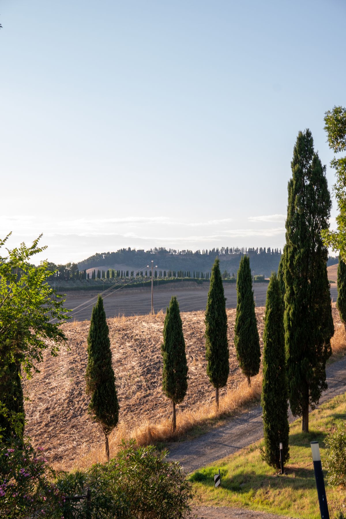 Sunset Over Rolling Tuscan Hills and Cypress Trees · Free Stock Photo