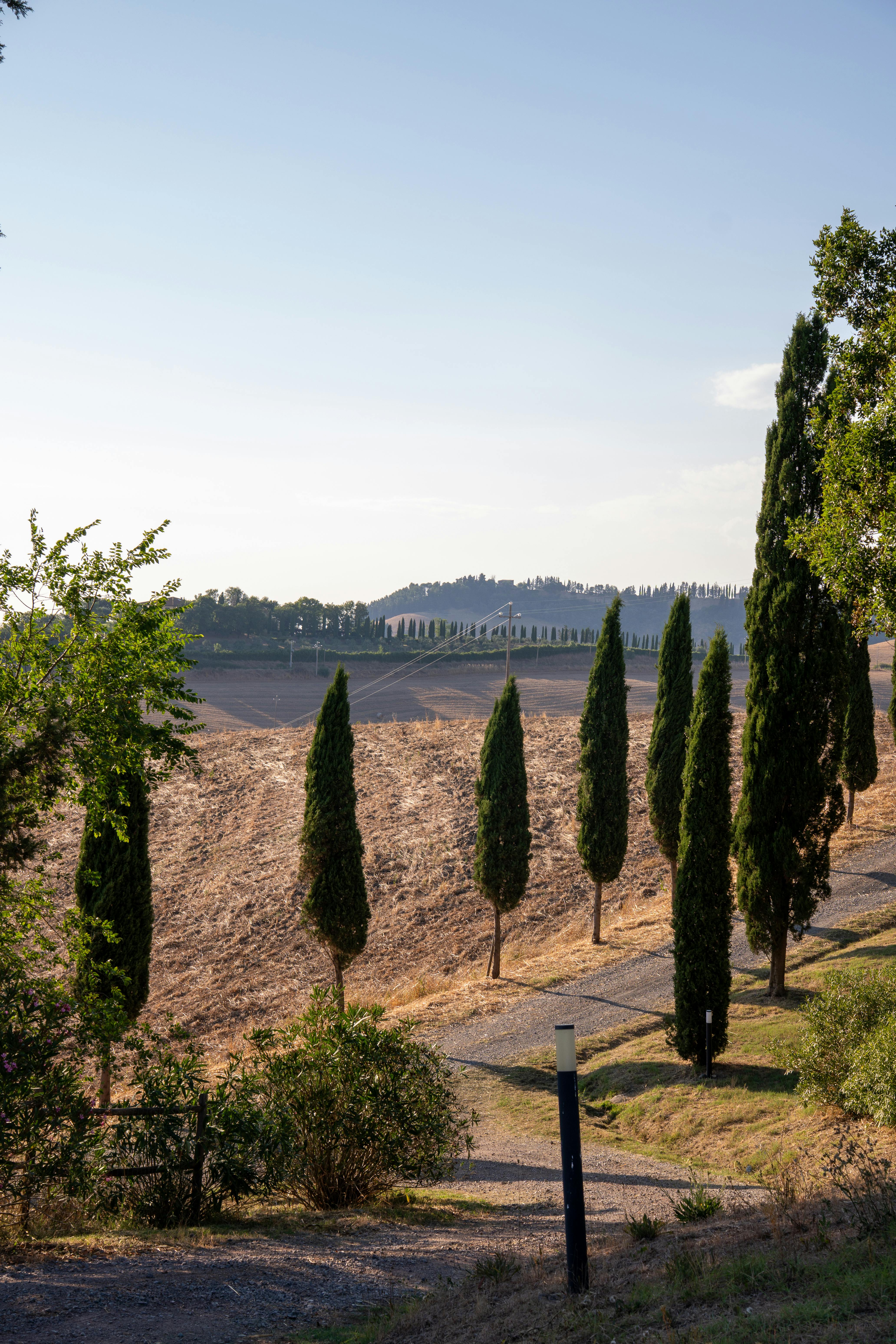 Miễn phí Khung cảnh quyến rũ của những ngọn đồi thoai thoải vùng Tuscany và những cây bách biểu tượng được tắm mình trong ánh nắng hè. Ảnh lưu trữ