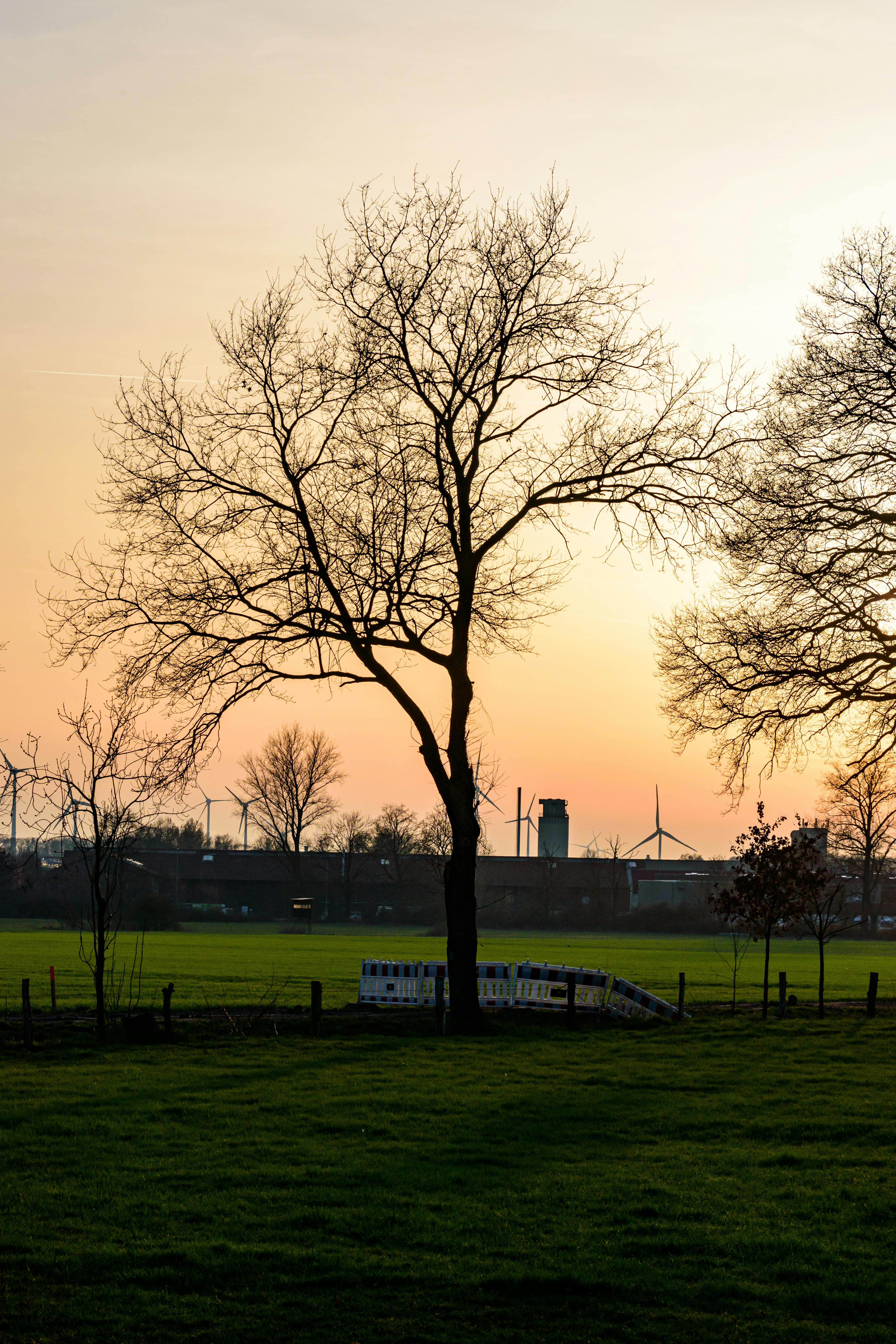 免費 德國科斯費爾德的日落美得令人窒息，遠處是光禿禿的樹木和風力渦輪機。 圖庫相片
