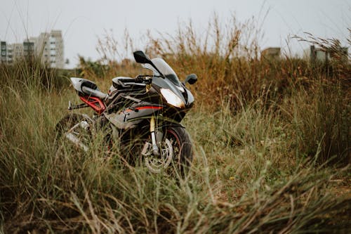 Free Photo of Black and Red Triumph Daytona Motorcycle Parked on Brown Grass Field Stock Photo
