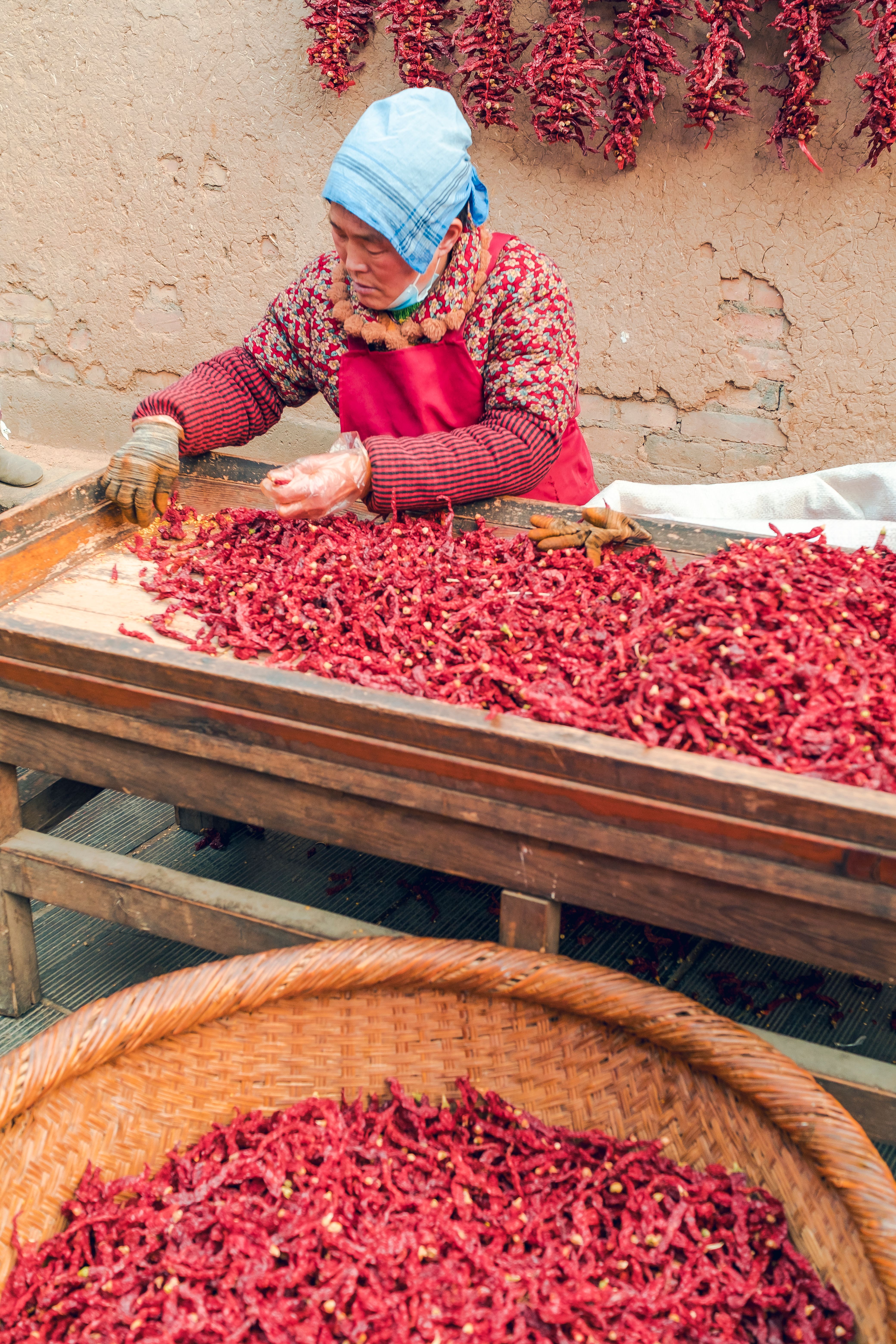 An elderly woman sorts dried red chilies at a wooden table, showcasing traditional methods and cultural heritage.