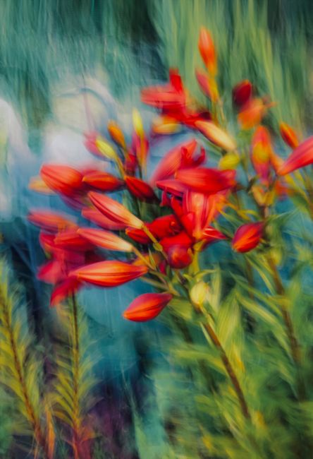 A stunning abstract depiction of red flowers in a vibrant, artistic style.