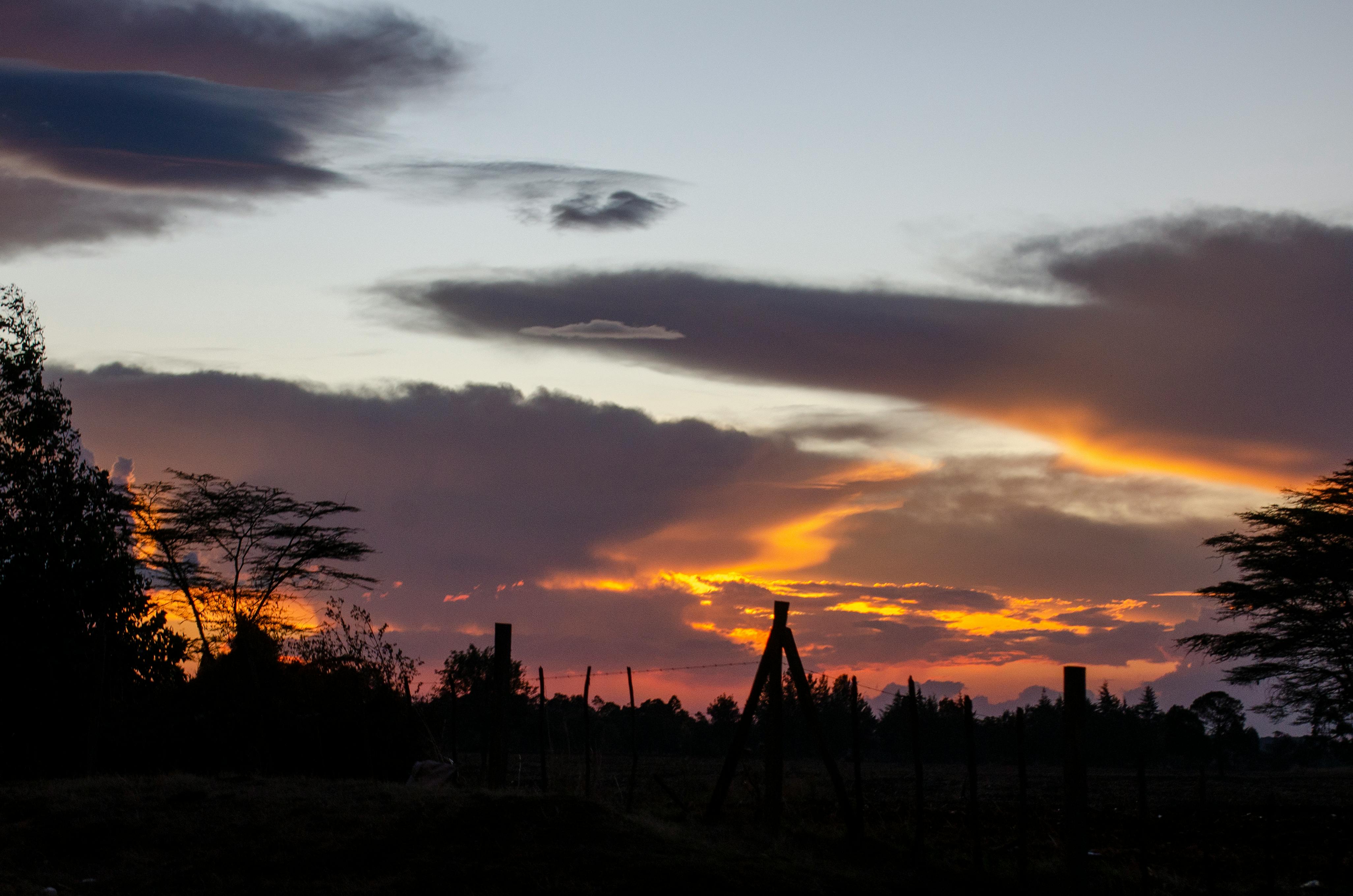 免费 美丽的日落为乡村景色披上了一层绚丽的光芒，树木和云朵的轮廓清晰可见。 素材图片