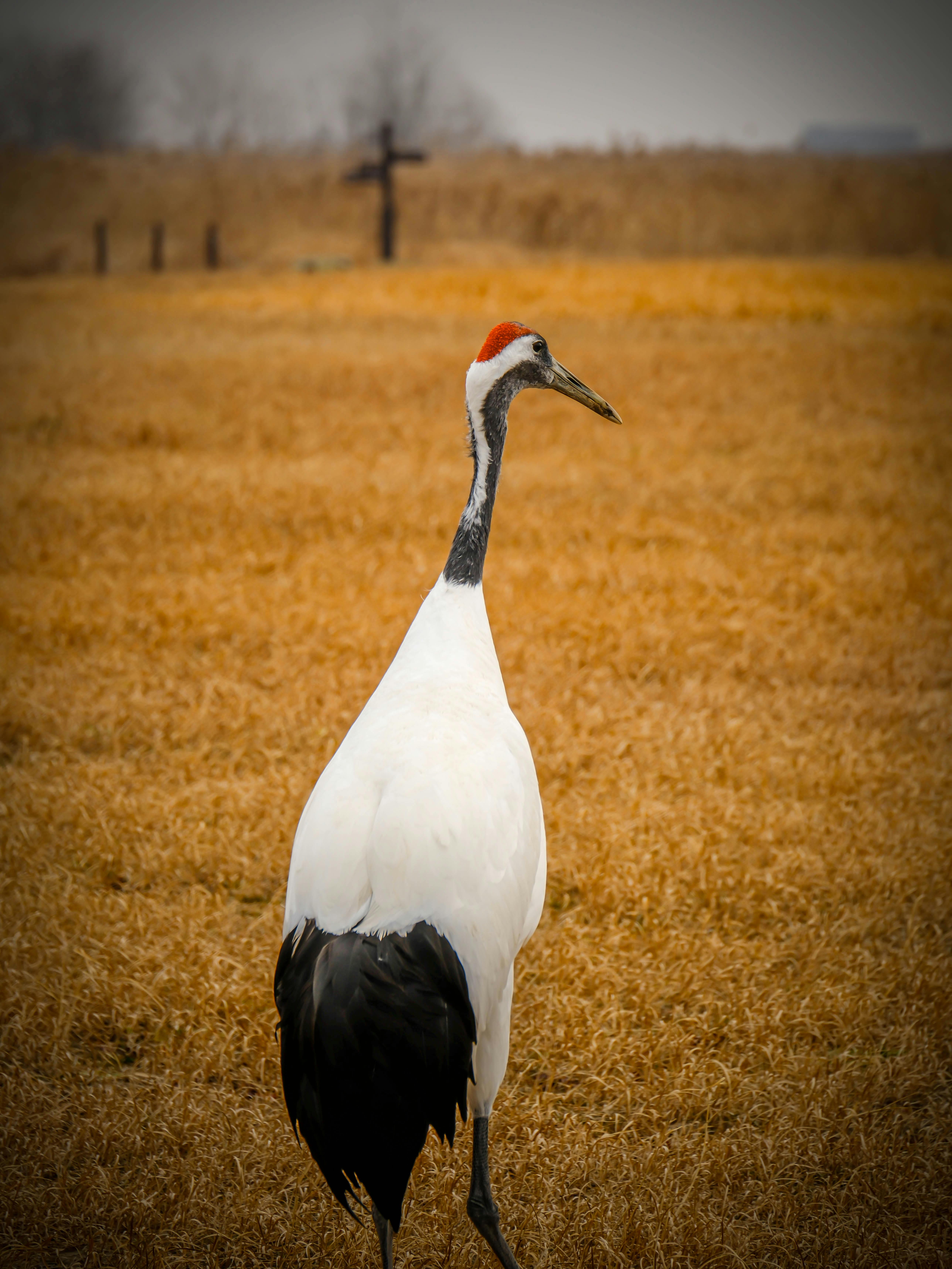 免费 23mmcamera, china street, fuji camera 的 免费素材图片 素材图片