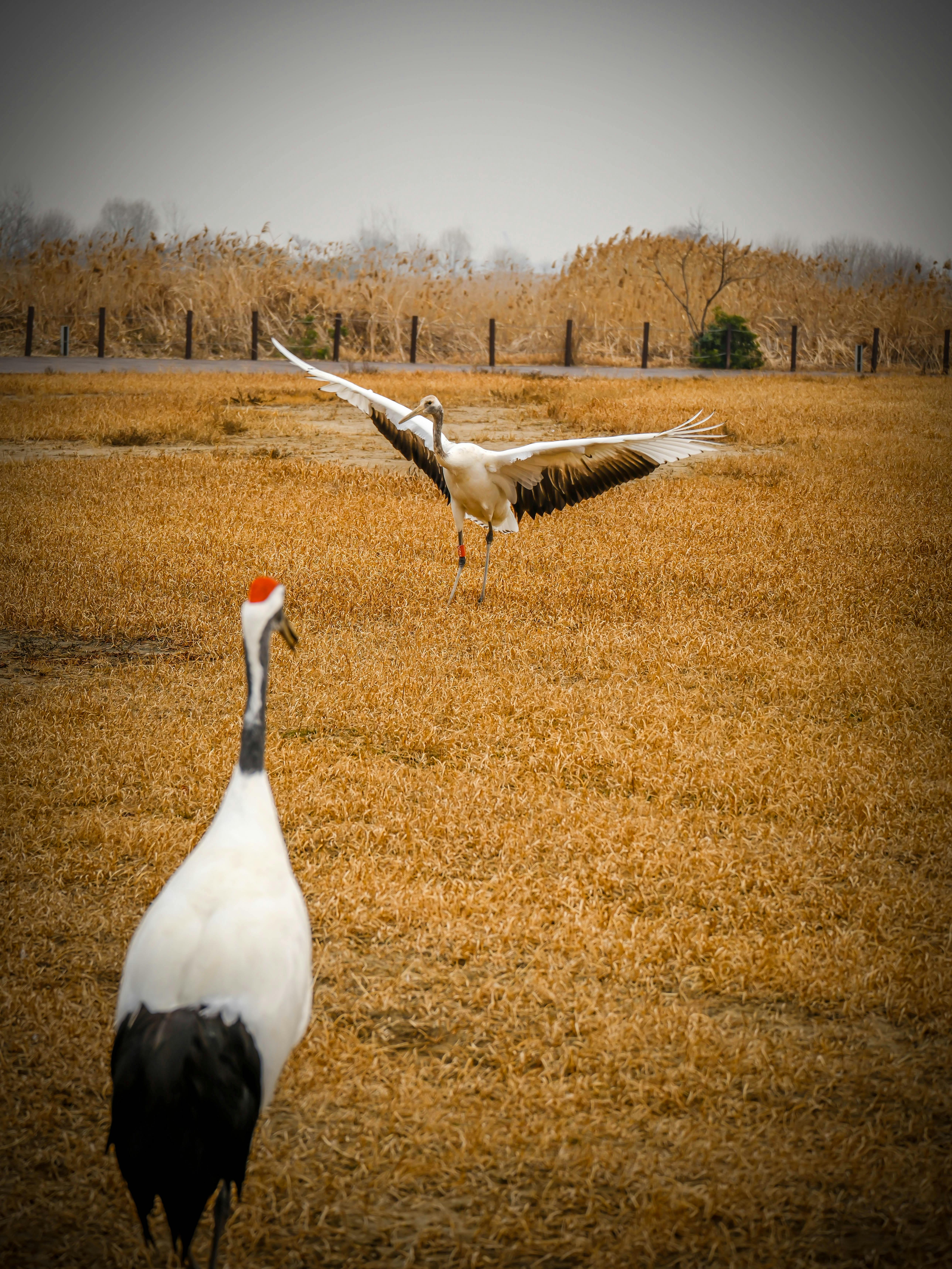免费 23mmcamera, china street, fuji camera 的 免费素材图片 素材图片